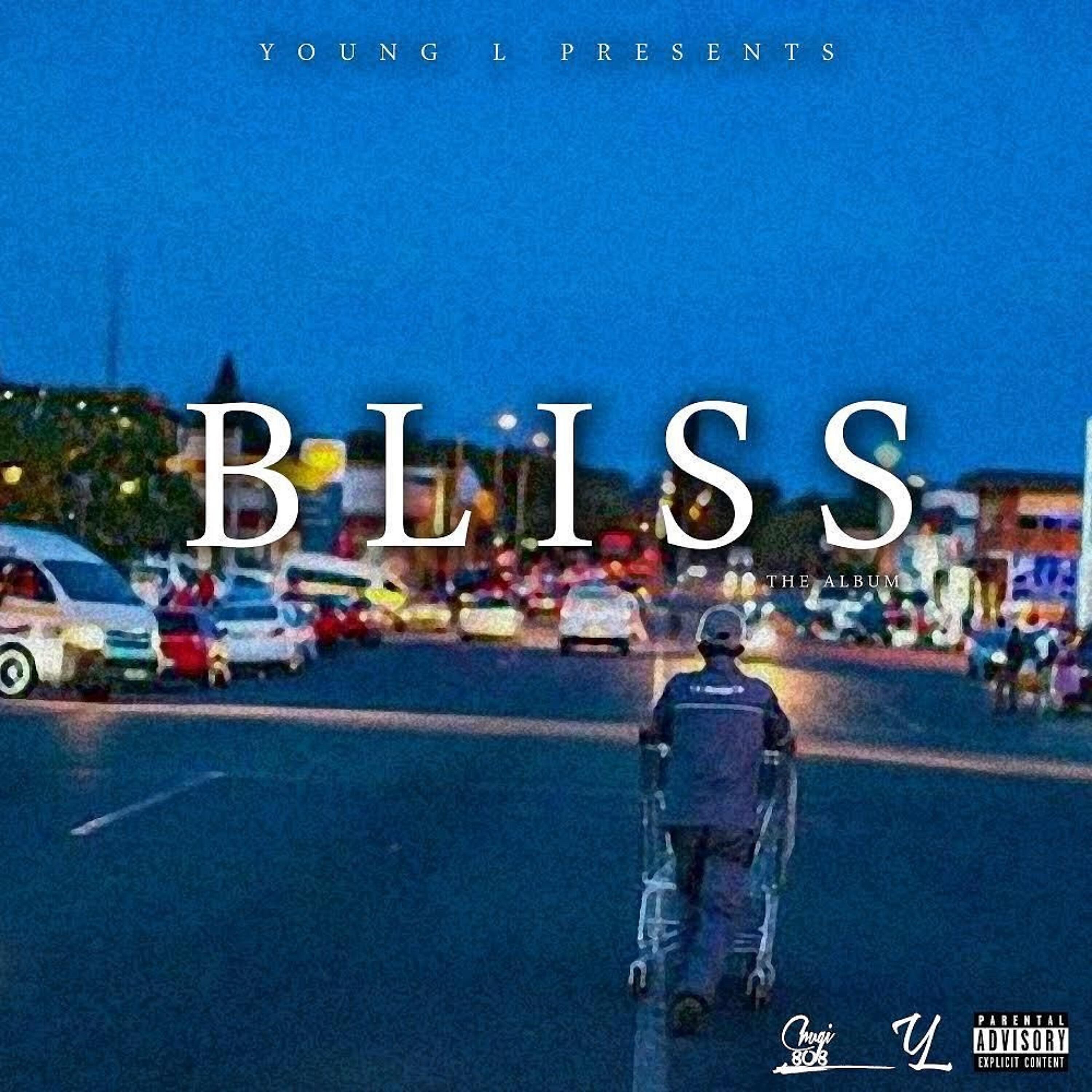 Young L SA