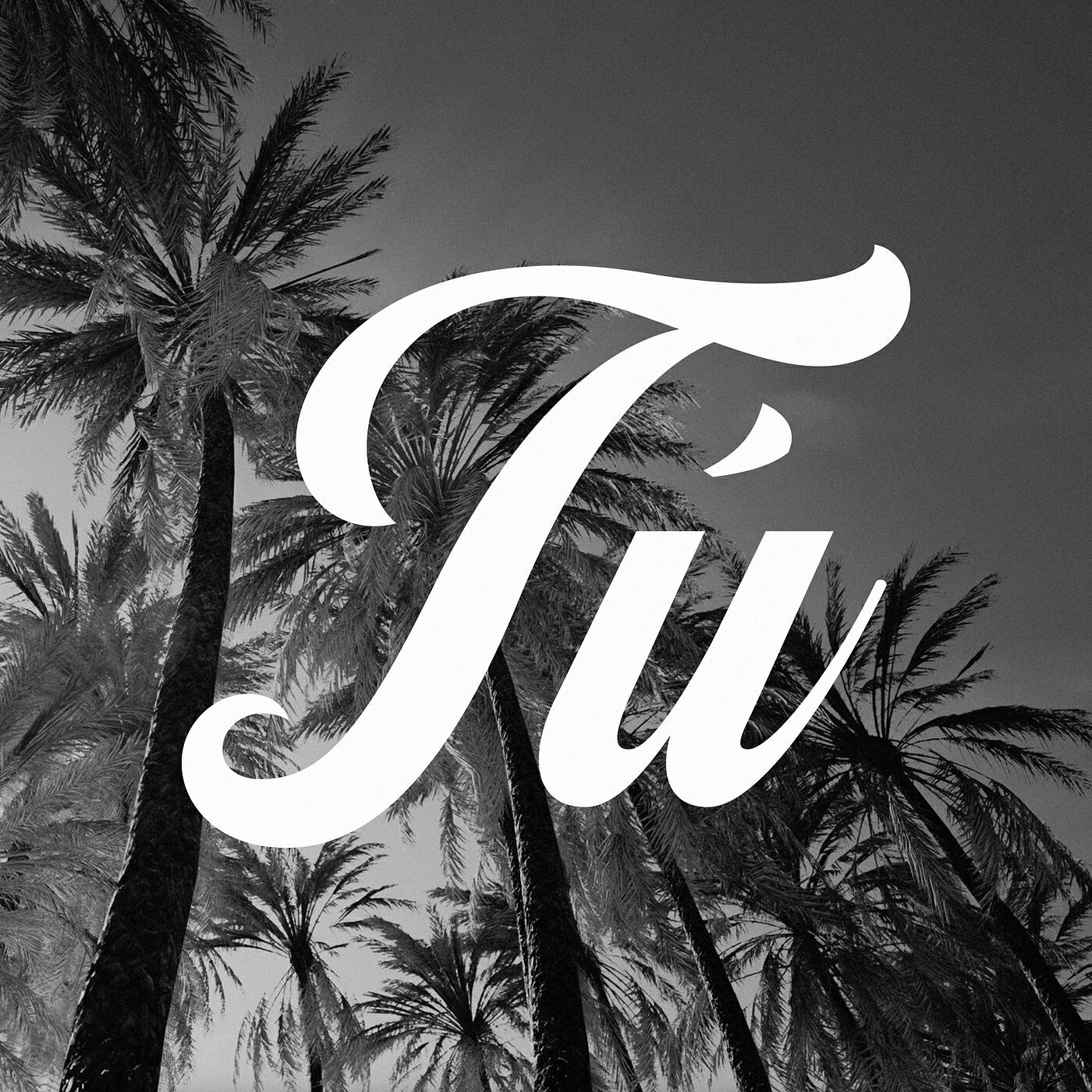Релиз Tú (Afro Flavour)