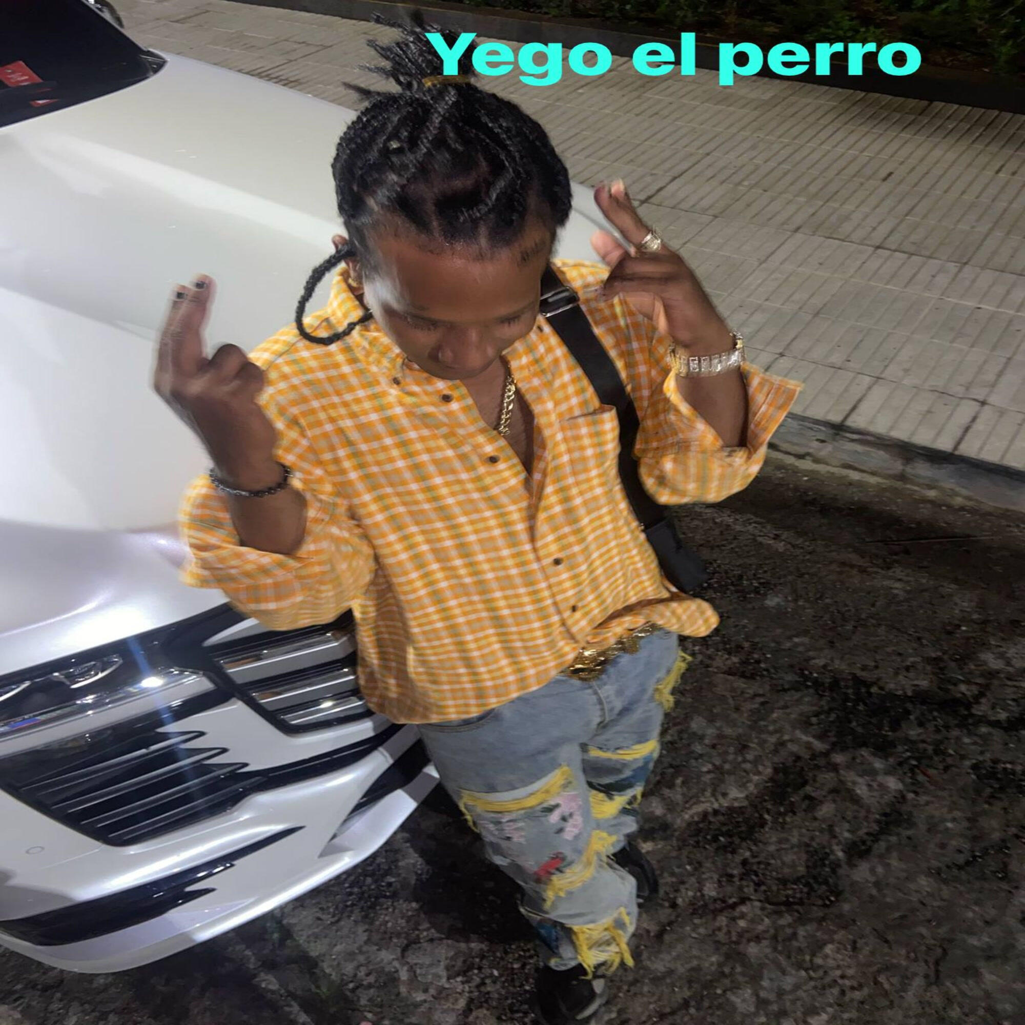 El Perro Que Canta
