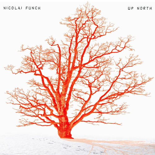 Релиз Up North