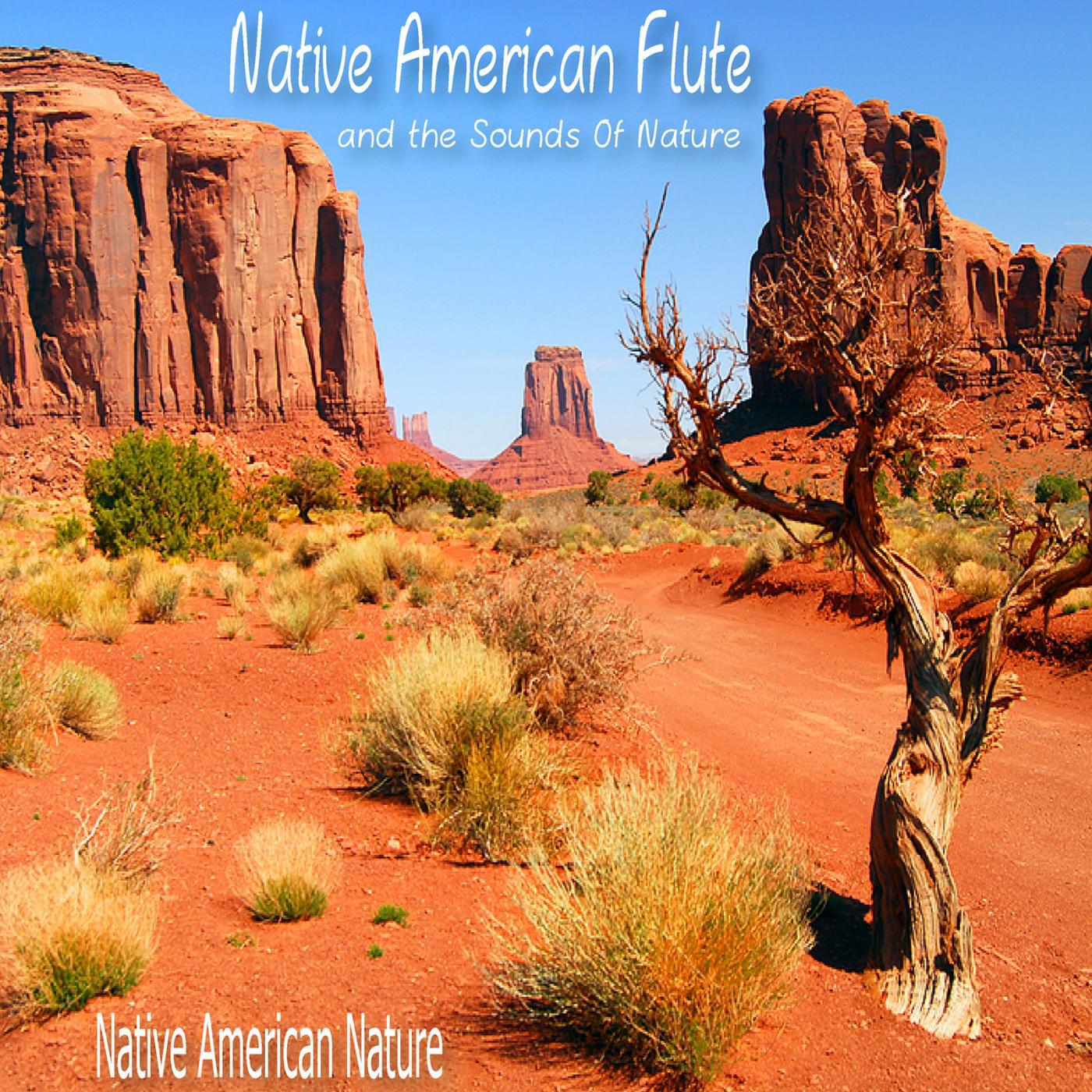 Релиз Native American Flute and the Sounds of Nature