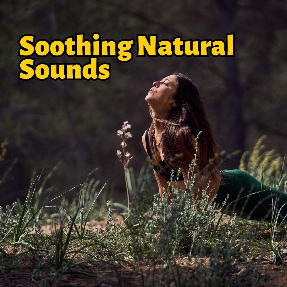 Релиз Soothing Natural Sounds for Mindfulness, Relaxation, Yoga and Deep Slumber