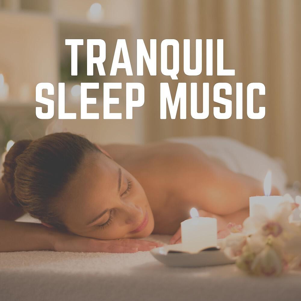 Релиз Tranquil Sleep Music