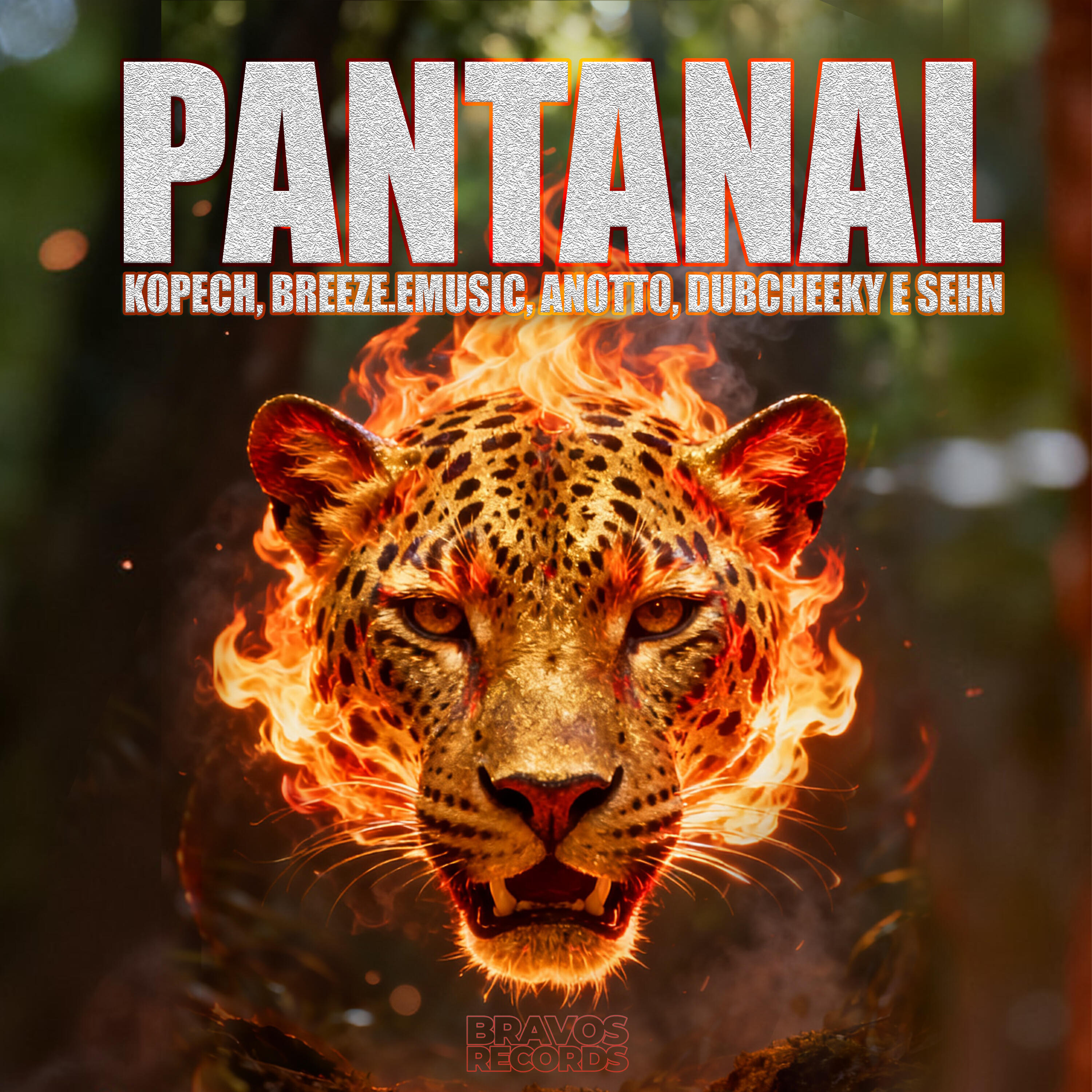 Релиз Pantanal