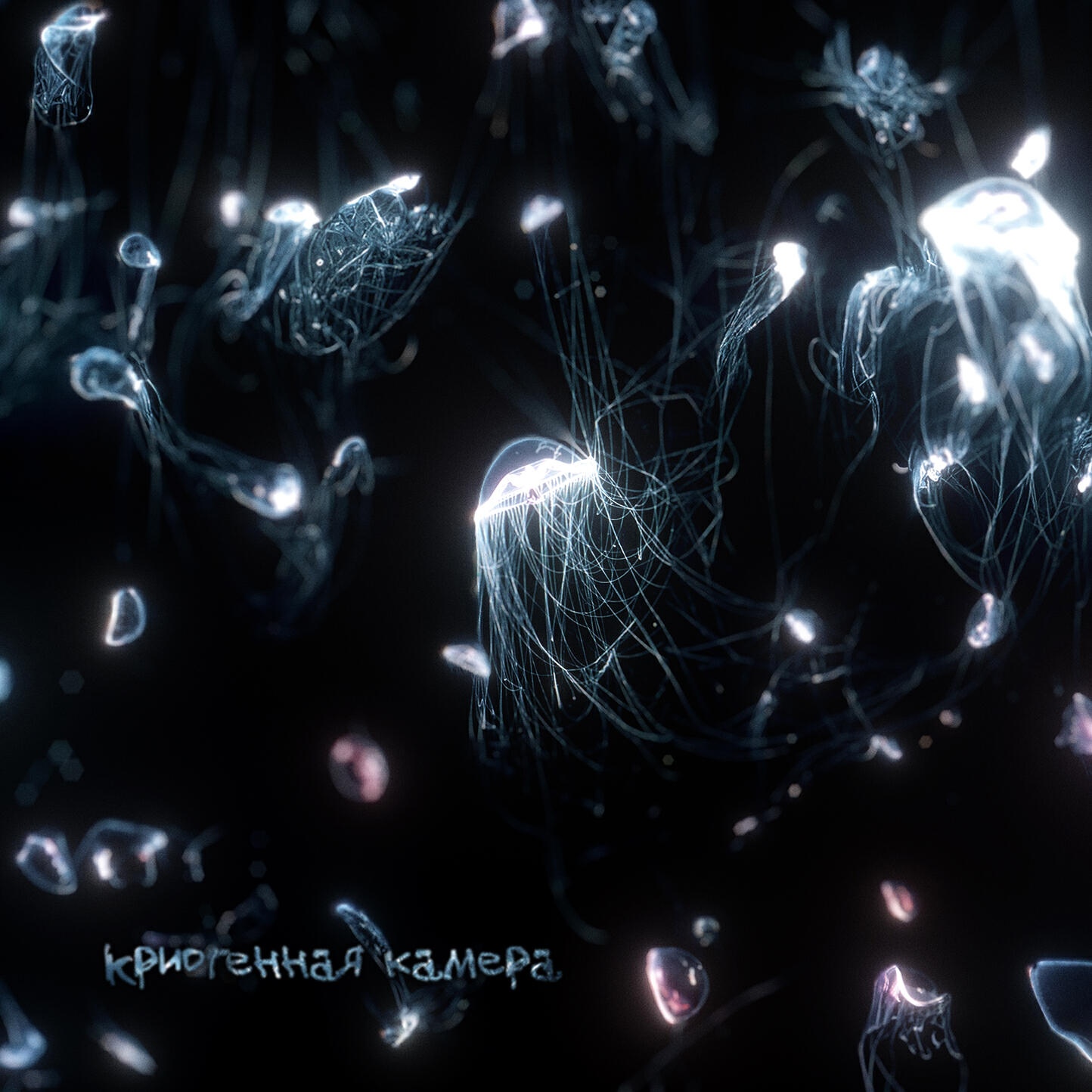 MULTISOL