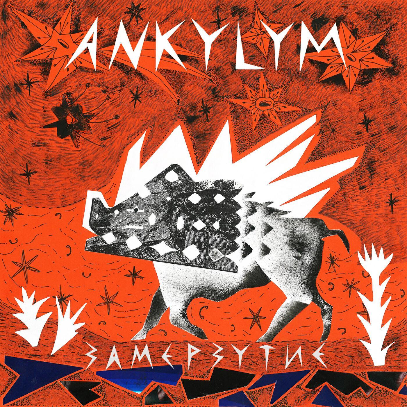 Ankylym