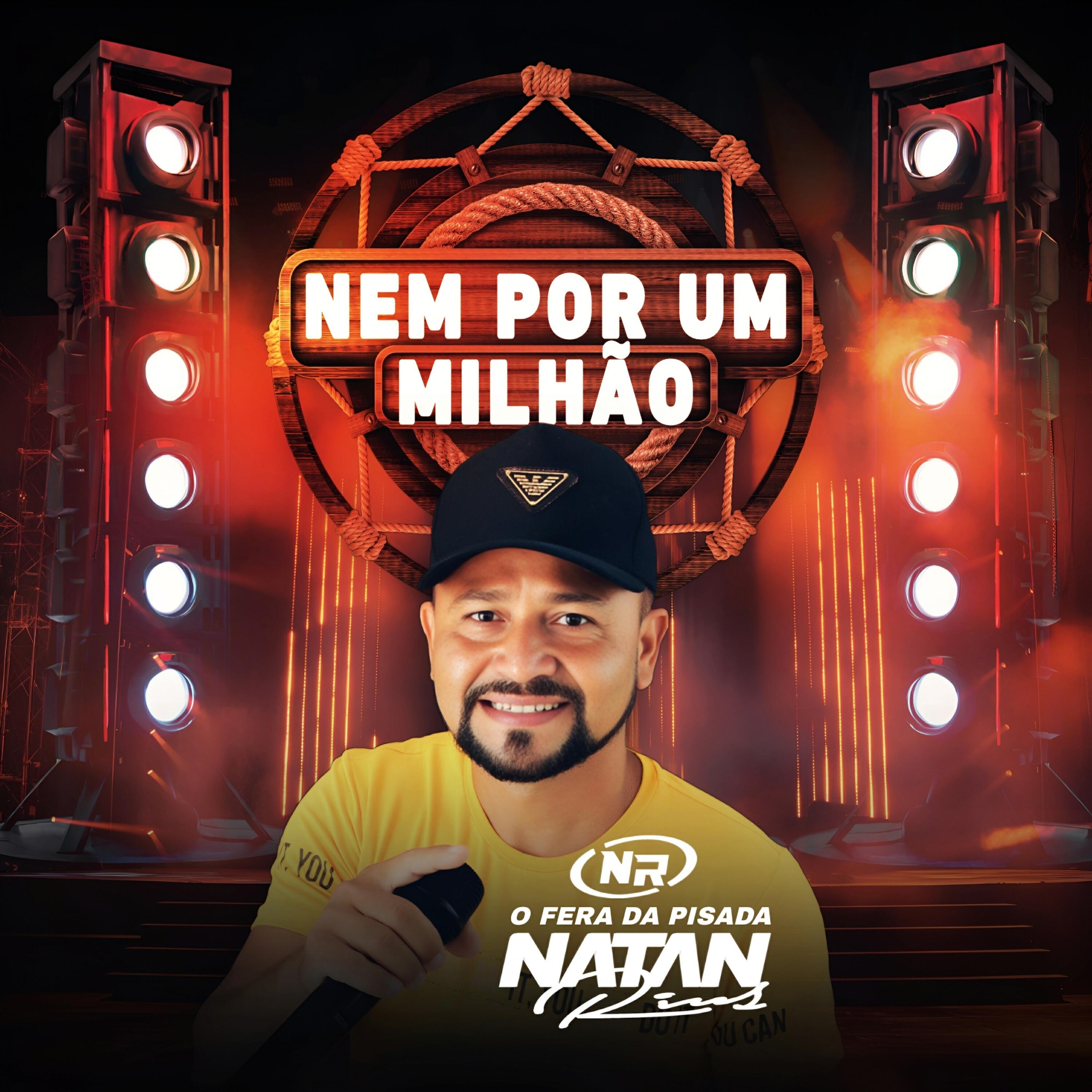 Постер альбома Nem por um Milhão