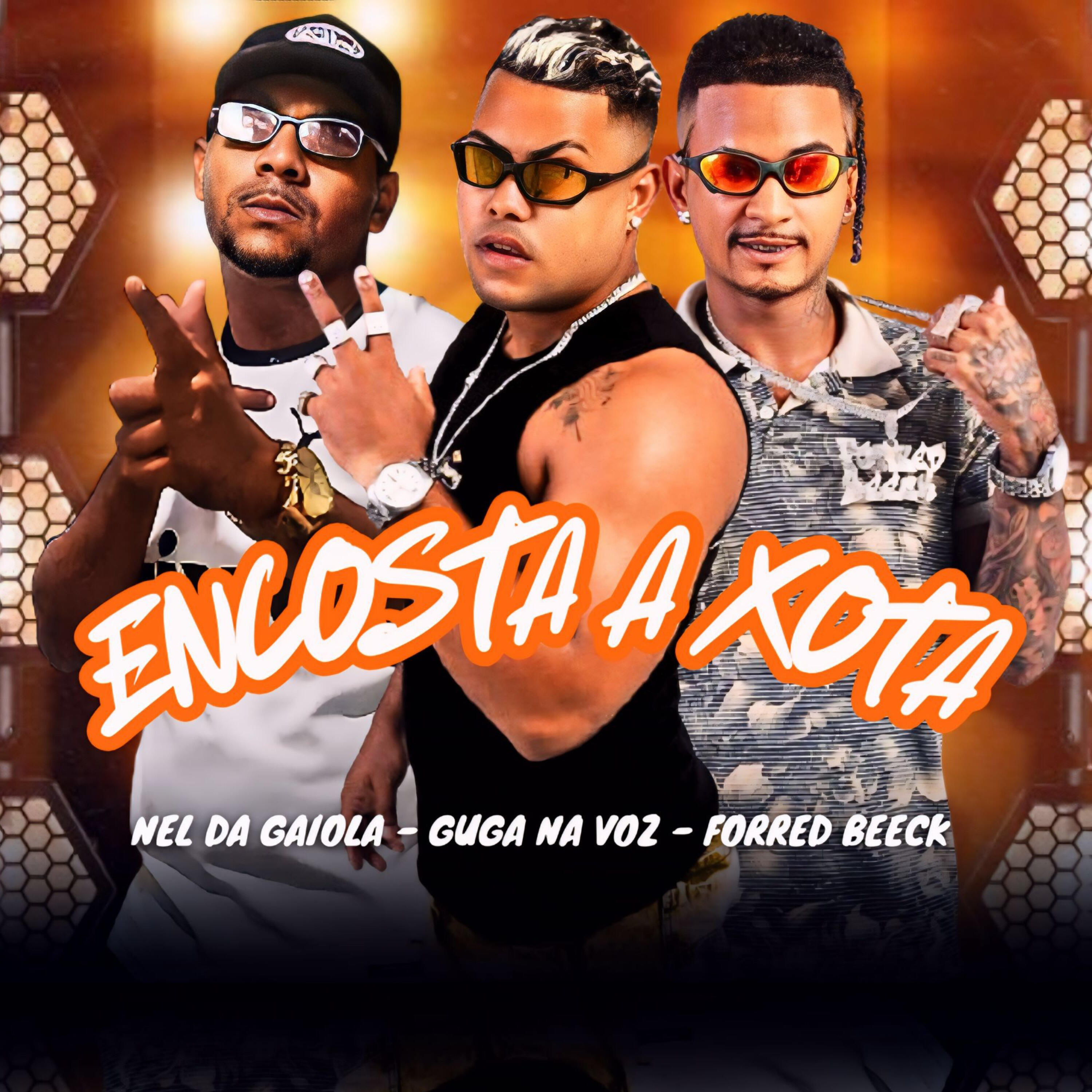 Постер альбома Encosta a Xota