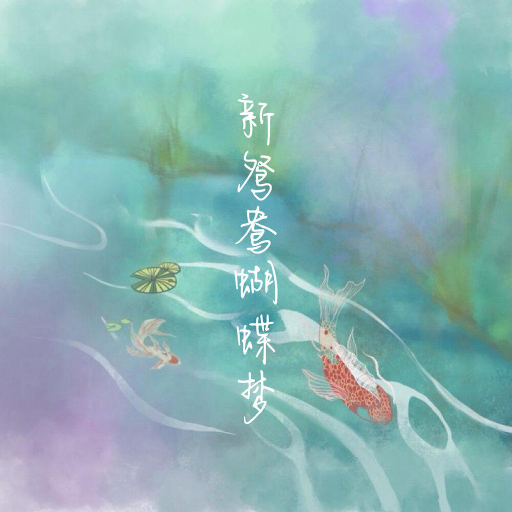 张心奕