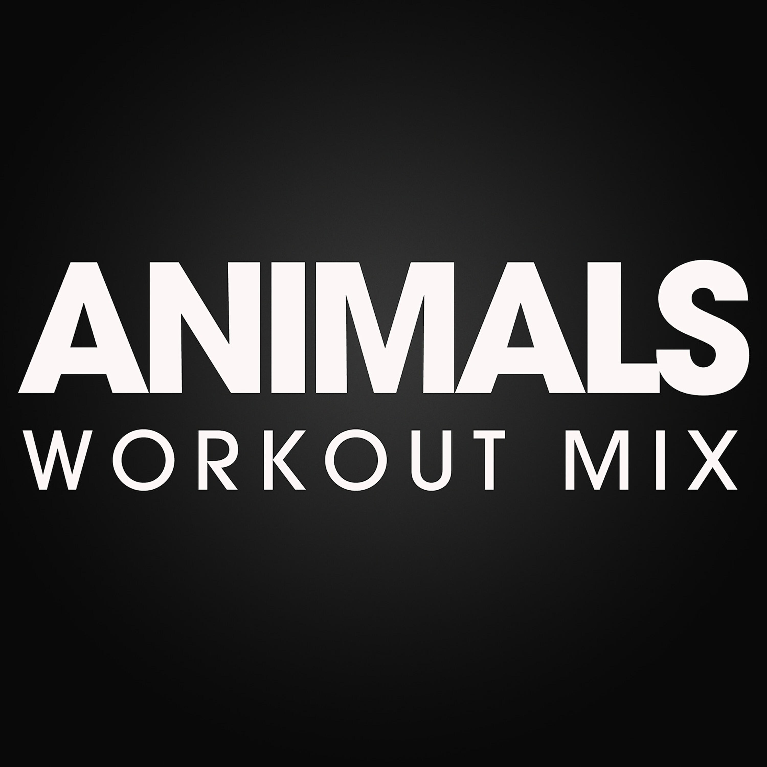Релиз Animals Workout Mix - Single