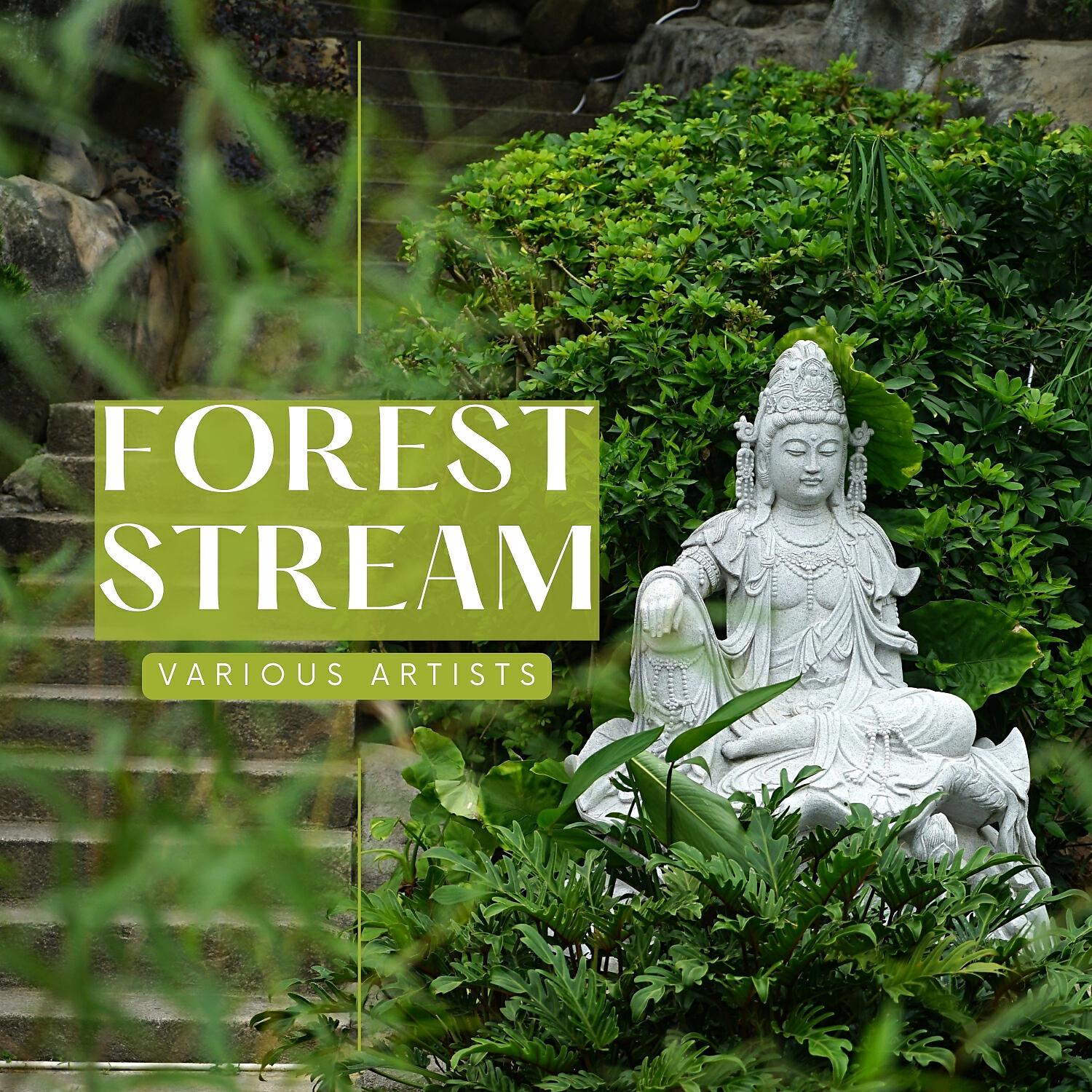 Релиз Forest Stream