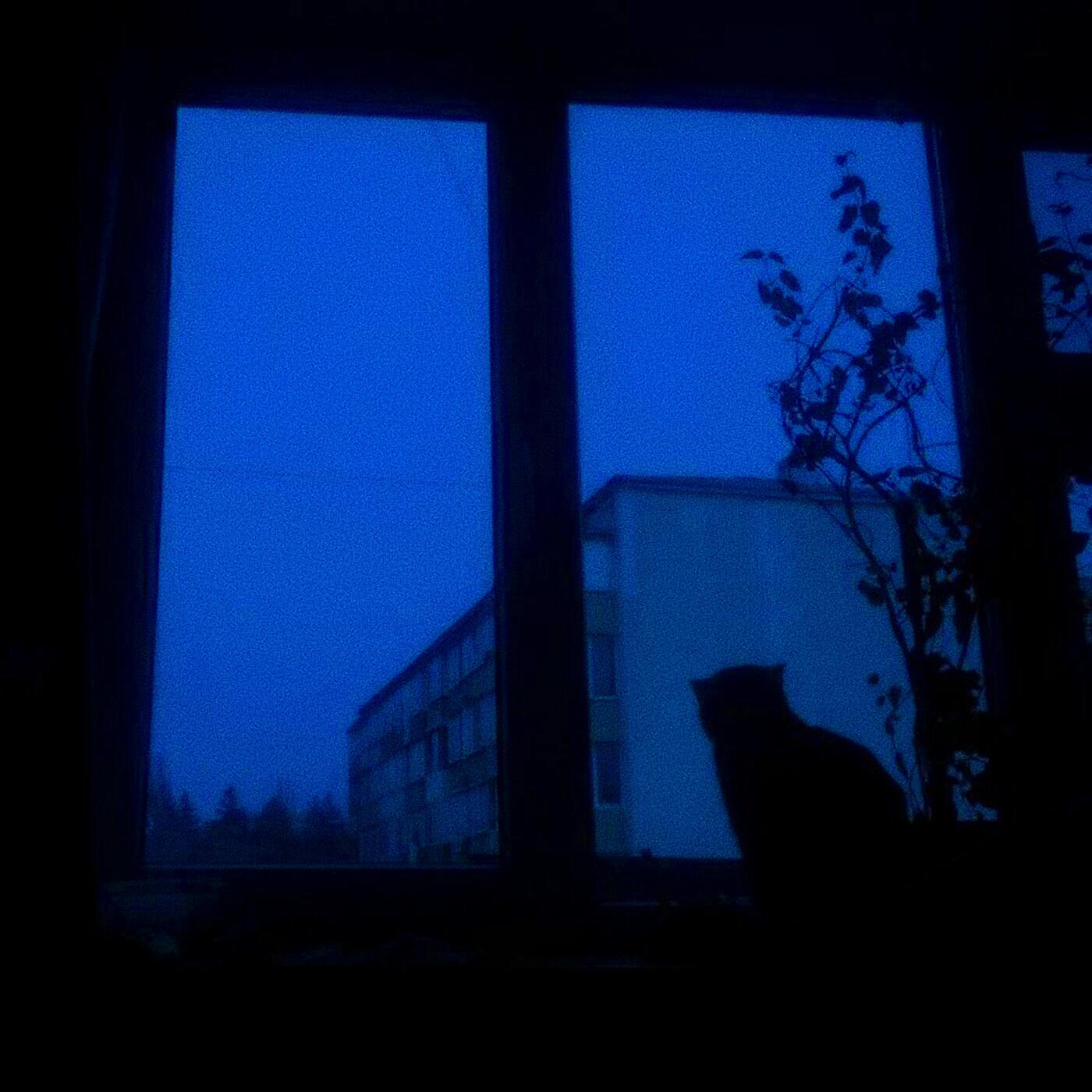 Постер альбома Enchanted