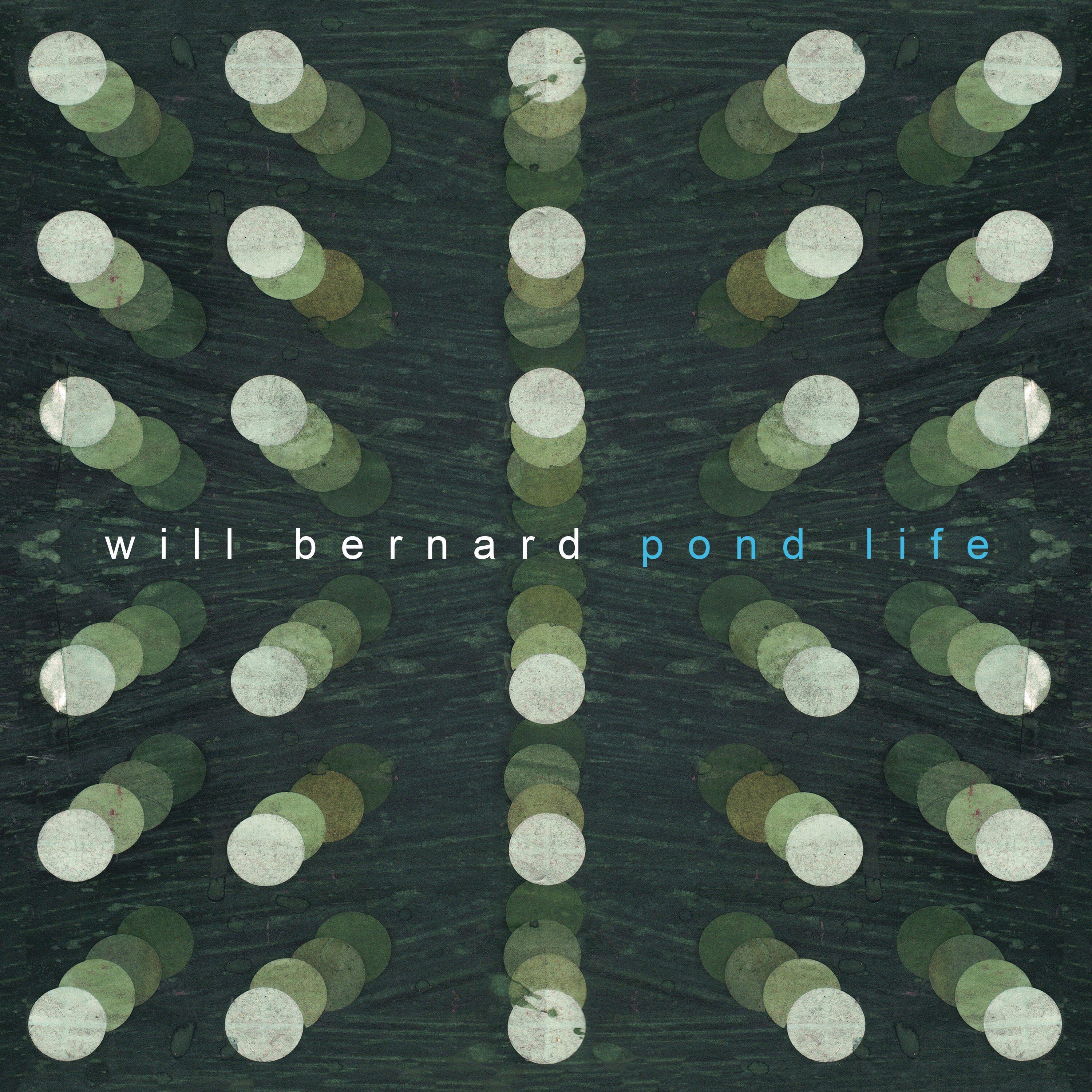 Релиз Pond Life