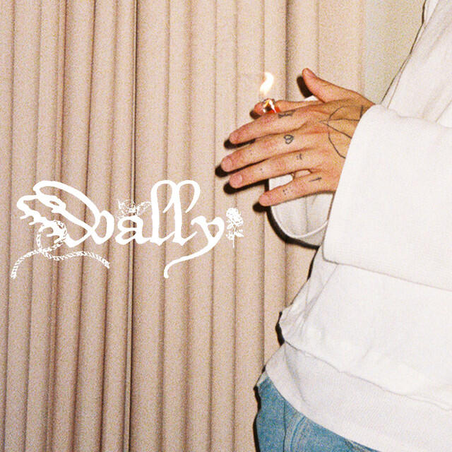 Релиз Wally