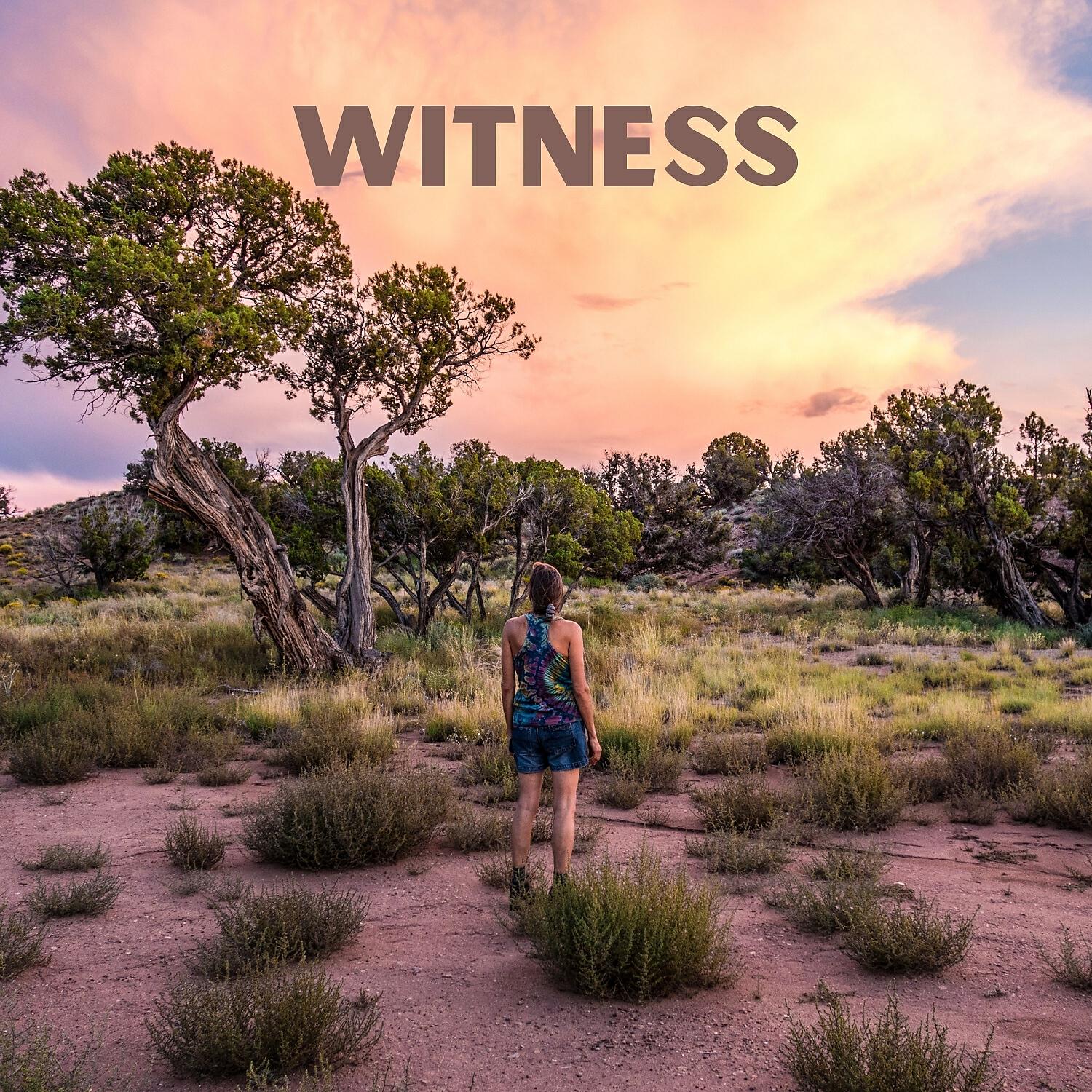 Релиз Witness