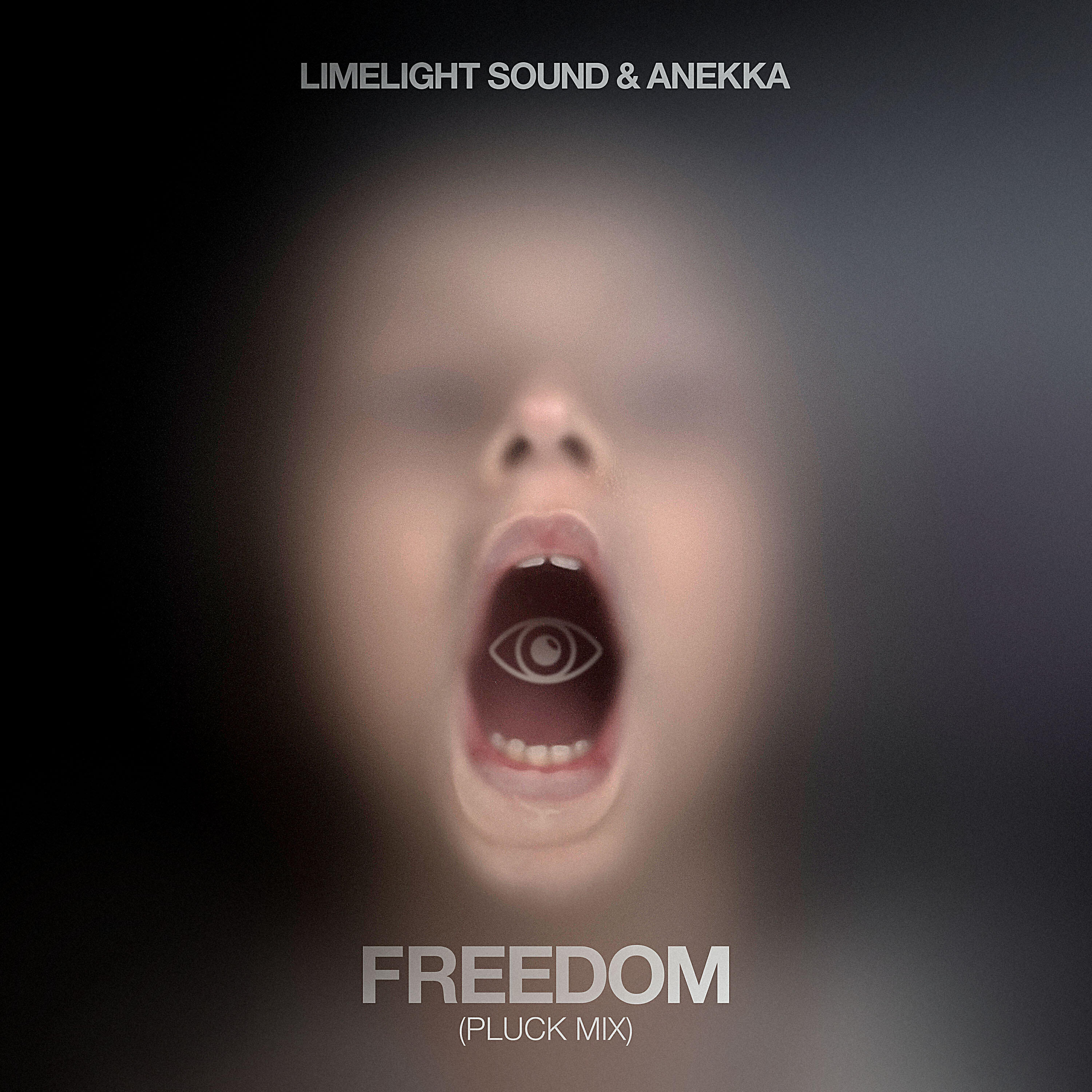 Релиз Freedom (Pluck Mix)