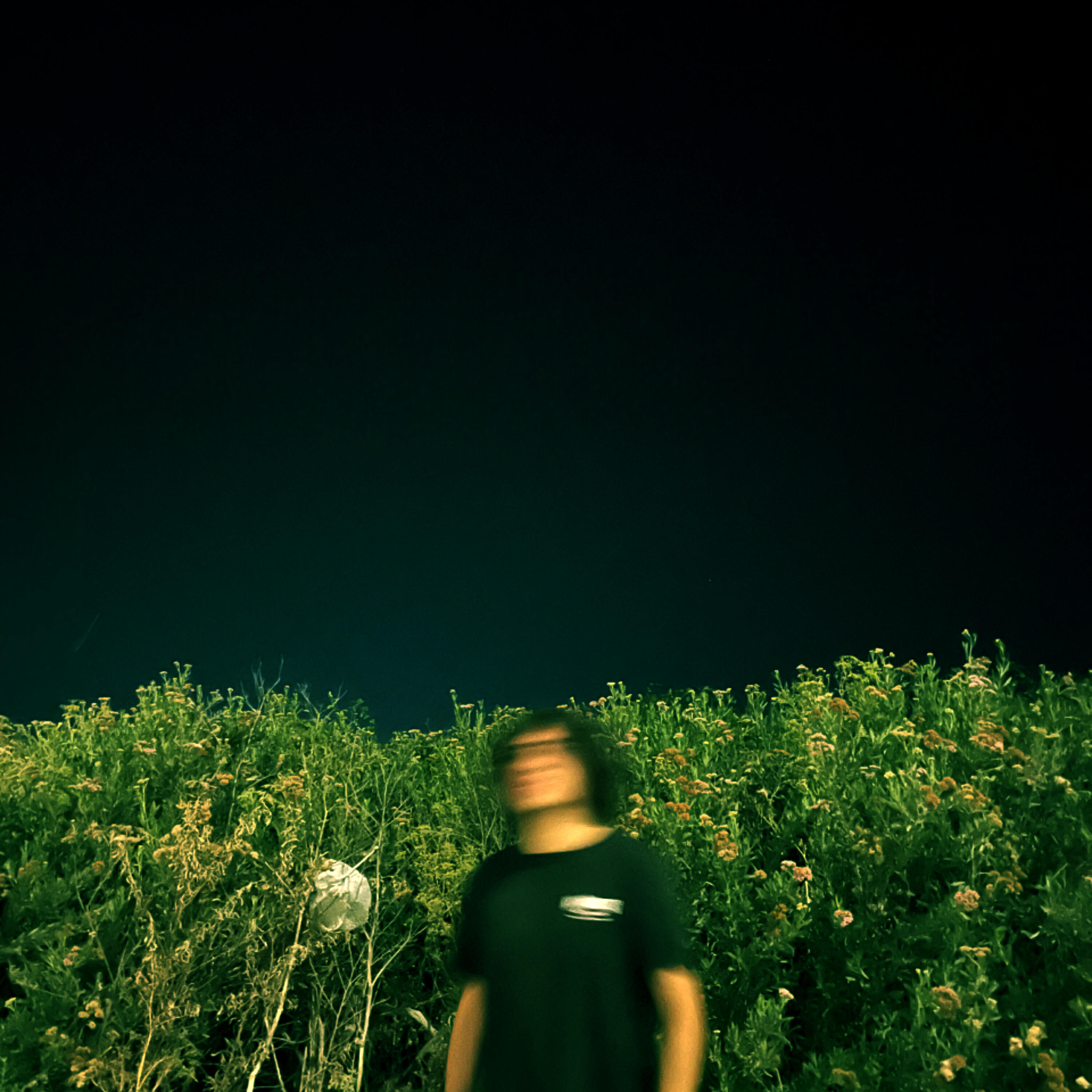 Релиз Noche Eterna