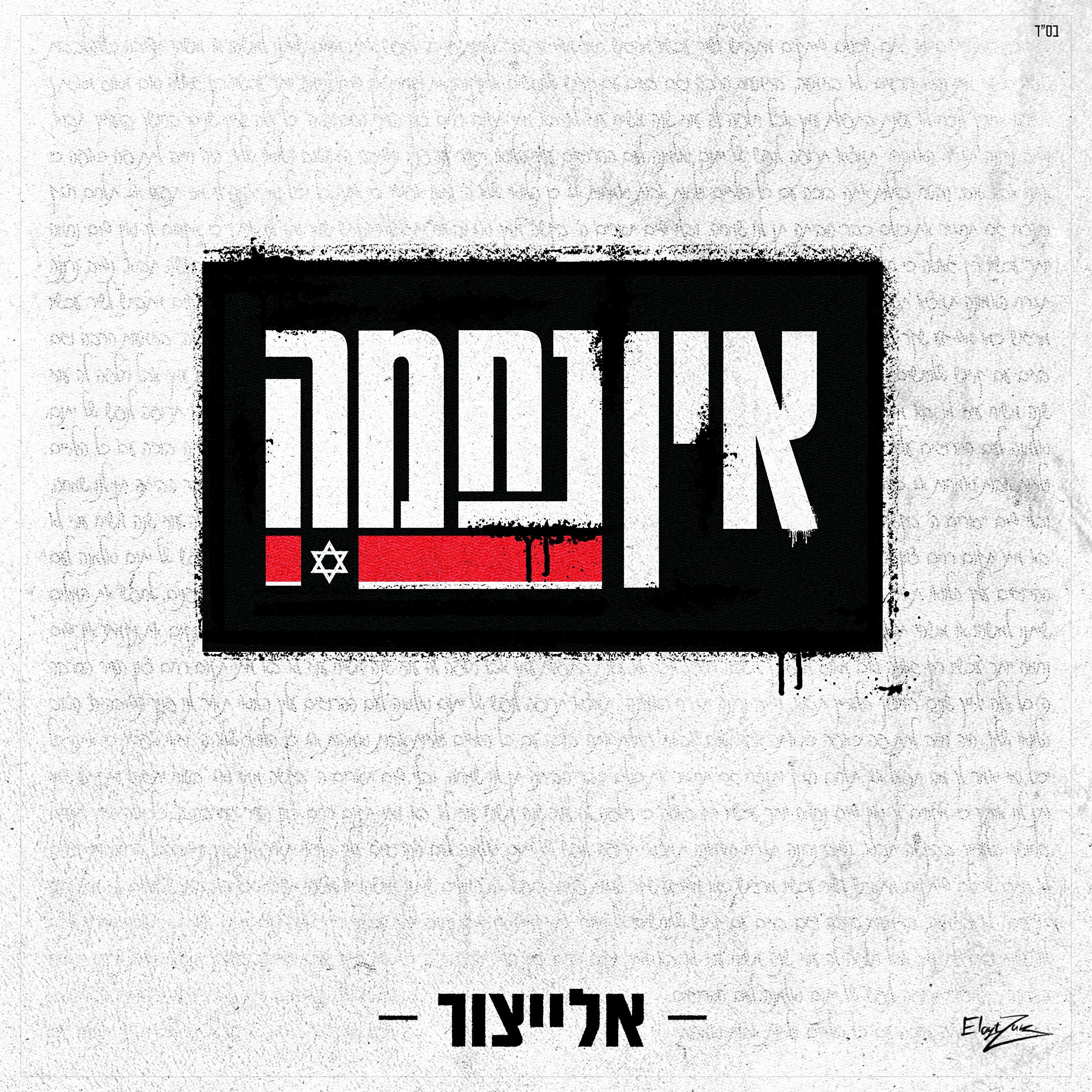 יאיר אלייצור