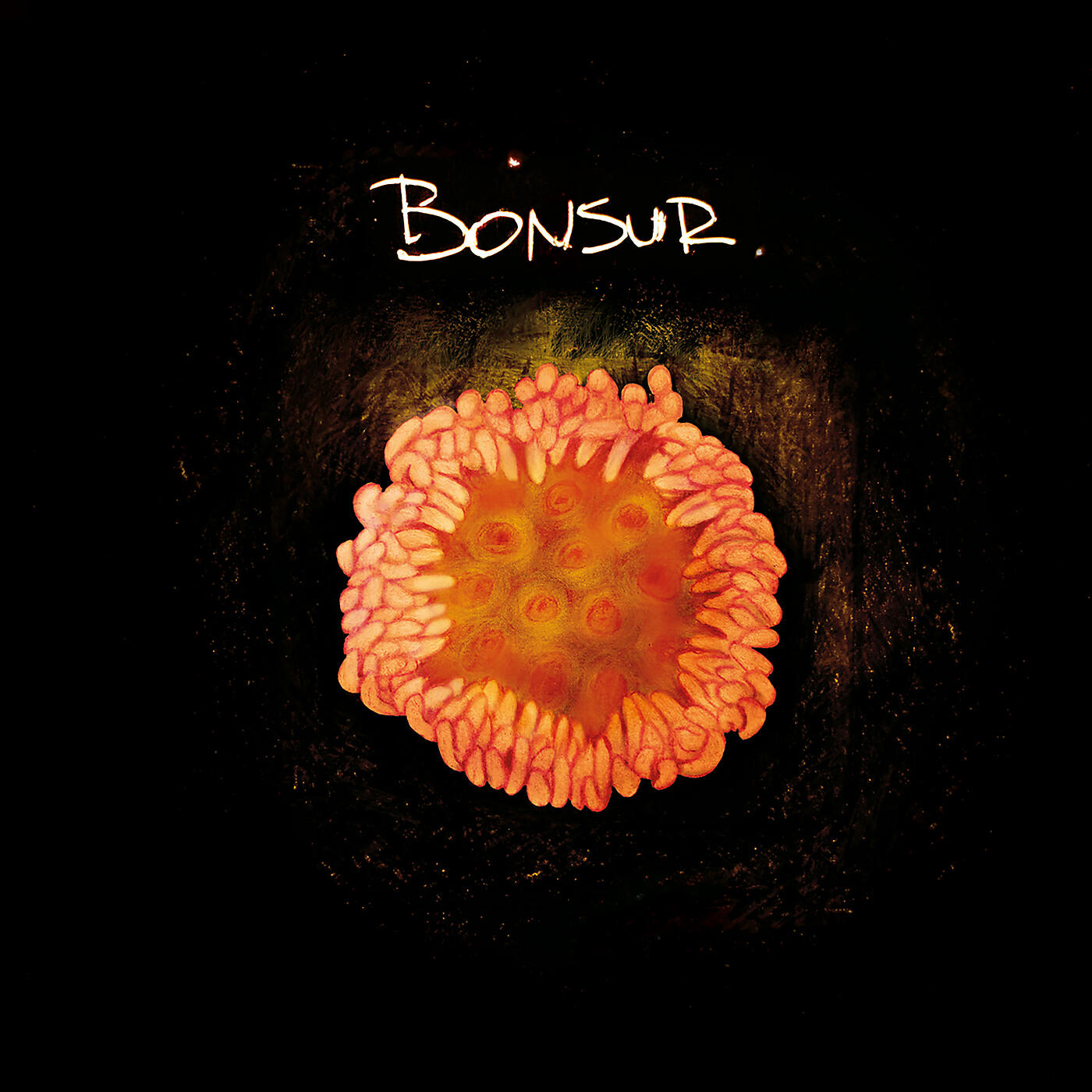 Релиз Bonsur