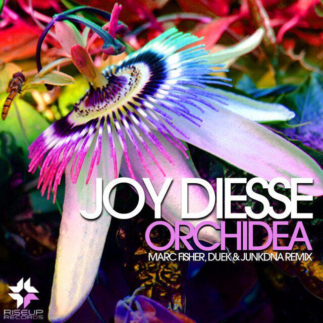 Релиз Orchidea
