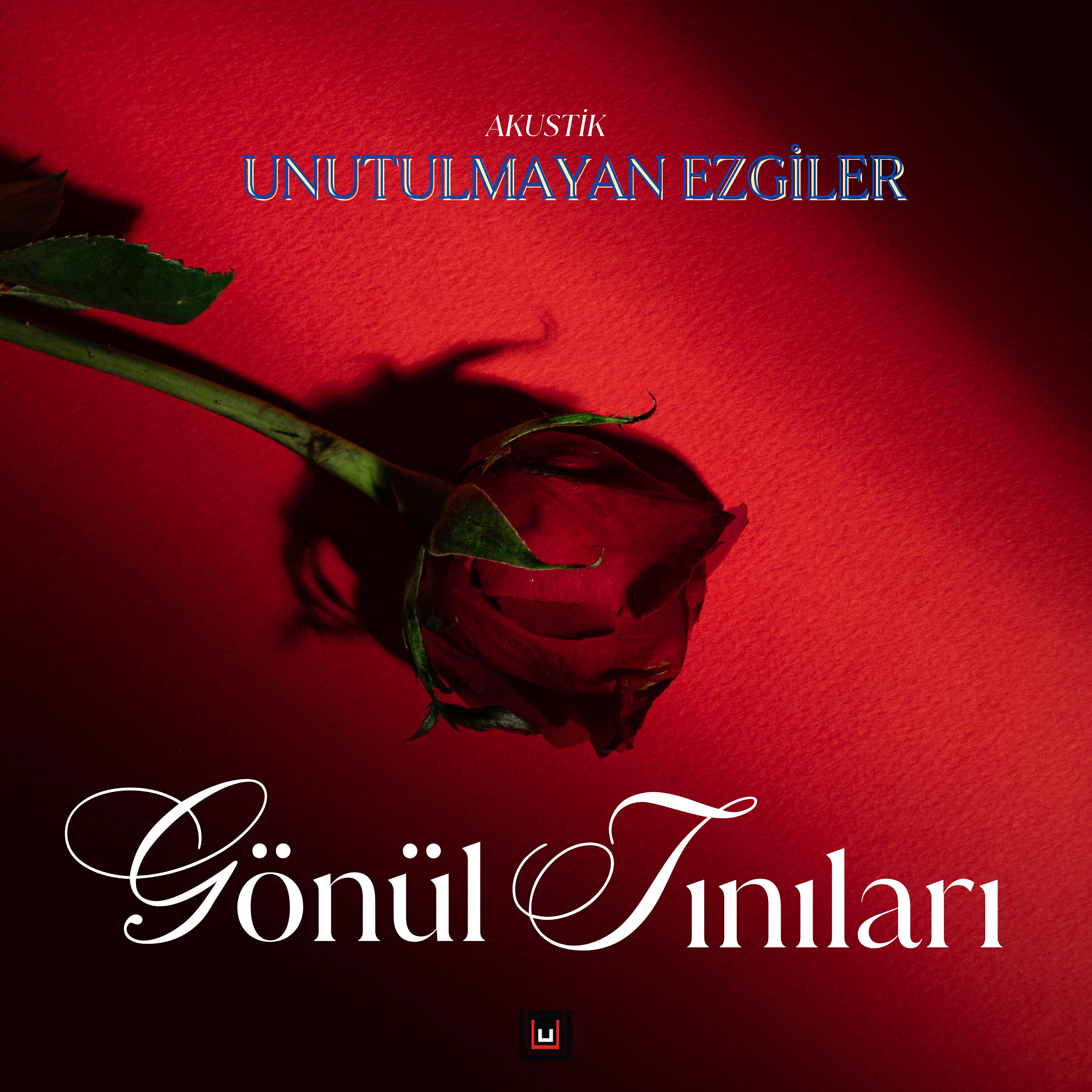 Релиз Akustik Gönül Tınıları 12