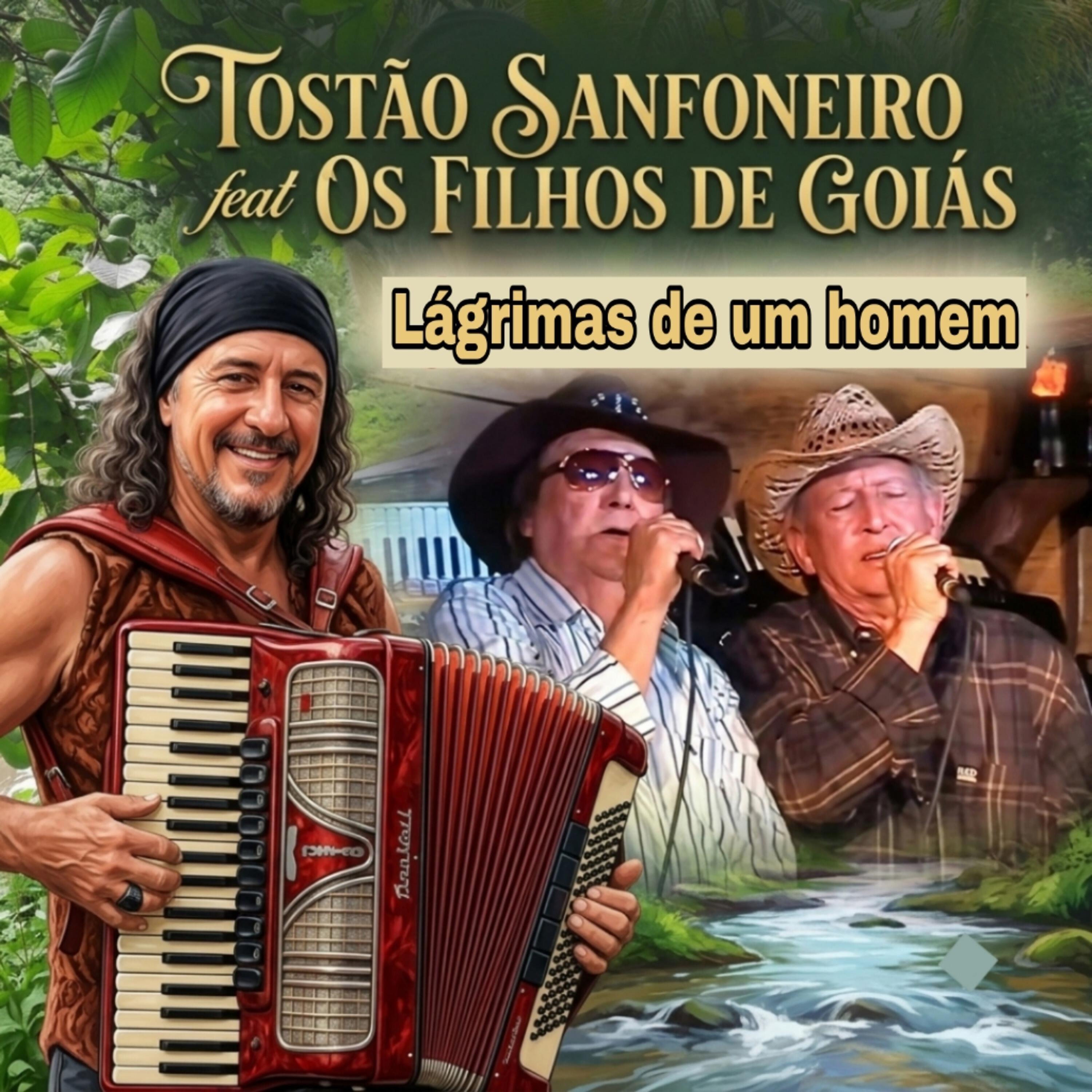 Tostão Sanfoneiro