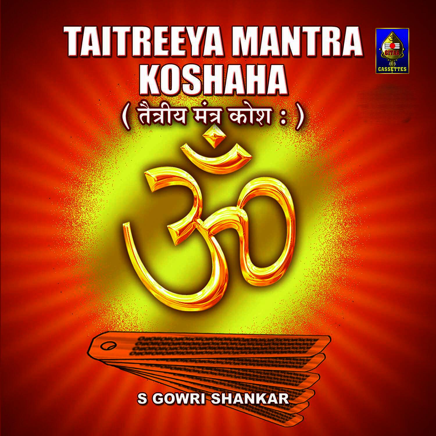 Релиз Taittireeya Mantra Koshan