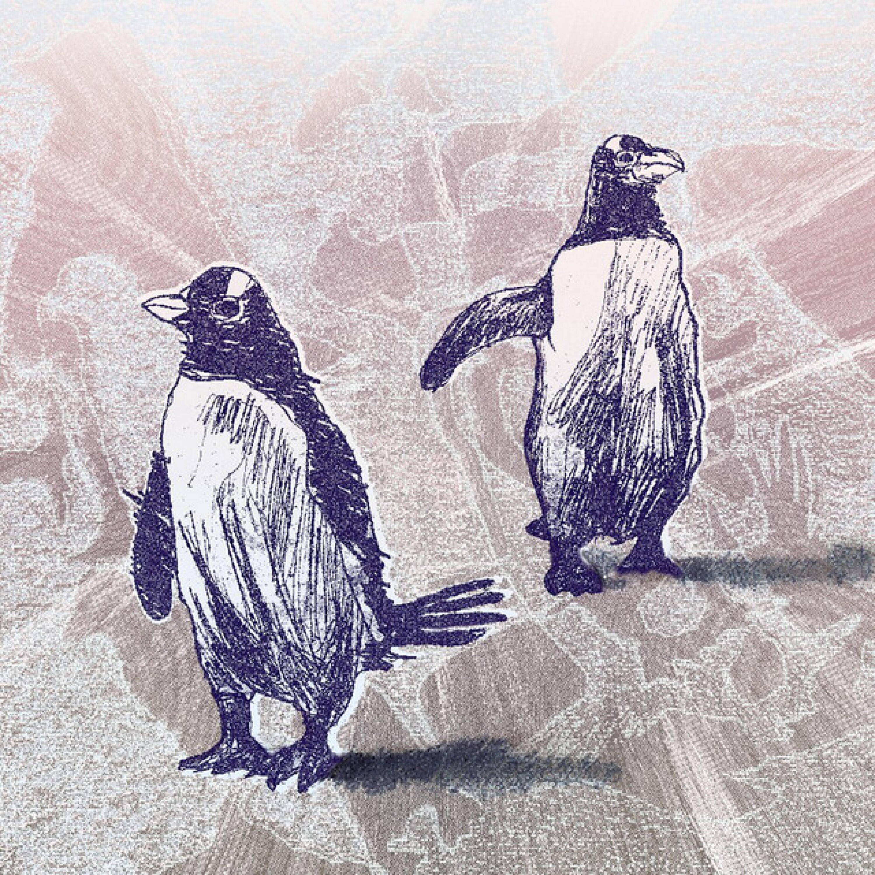 Релиз I've Never Seen The Northern Lights