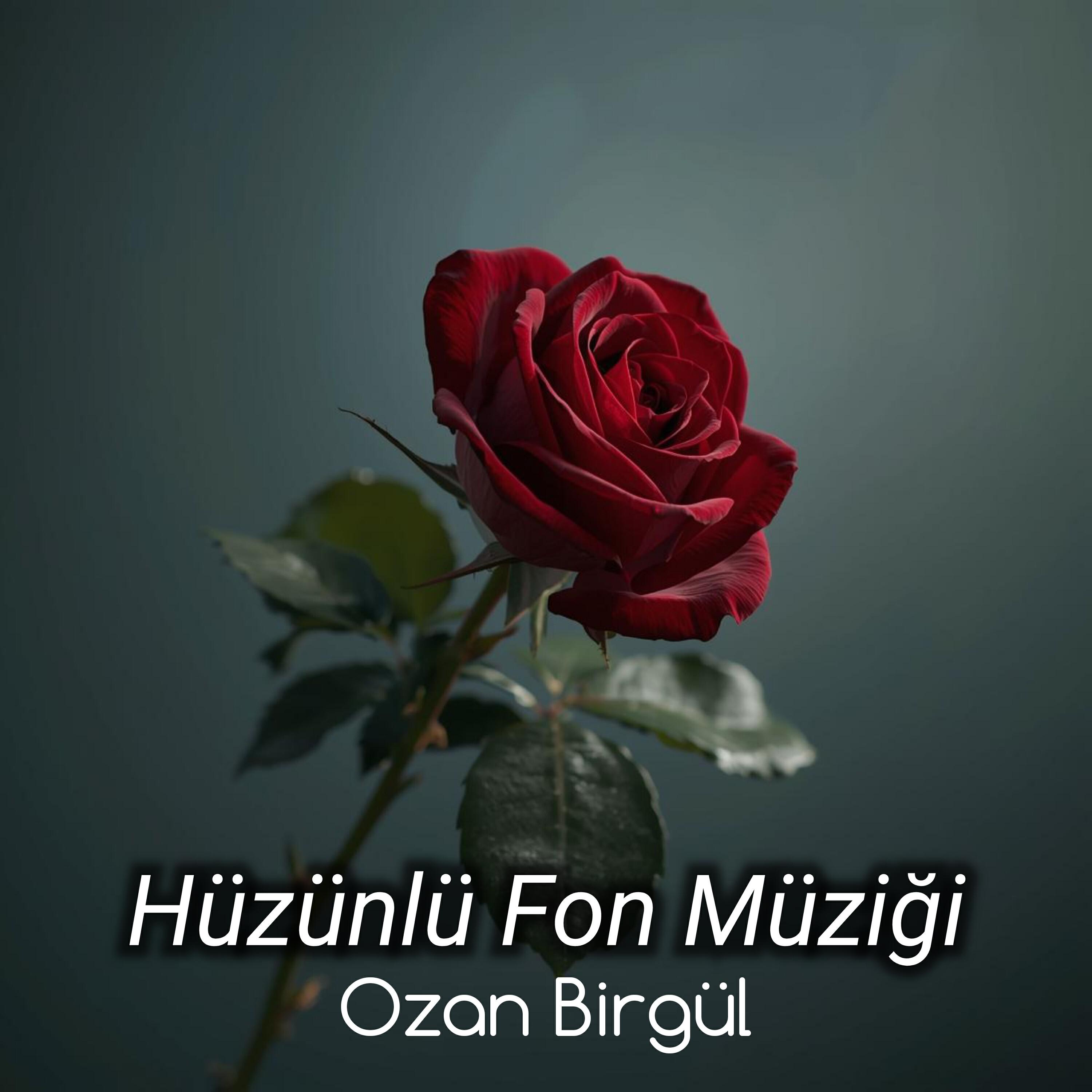 Релиз Hüzünlü Fon Müziği