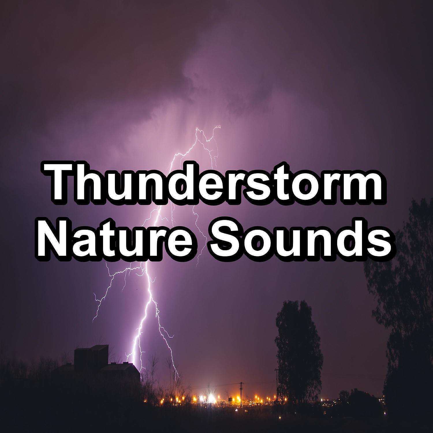 Релиз Thunderstorm Nature Sounds