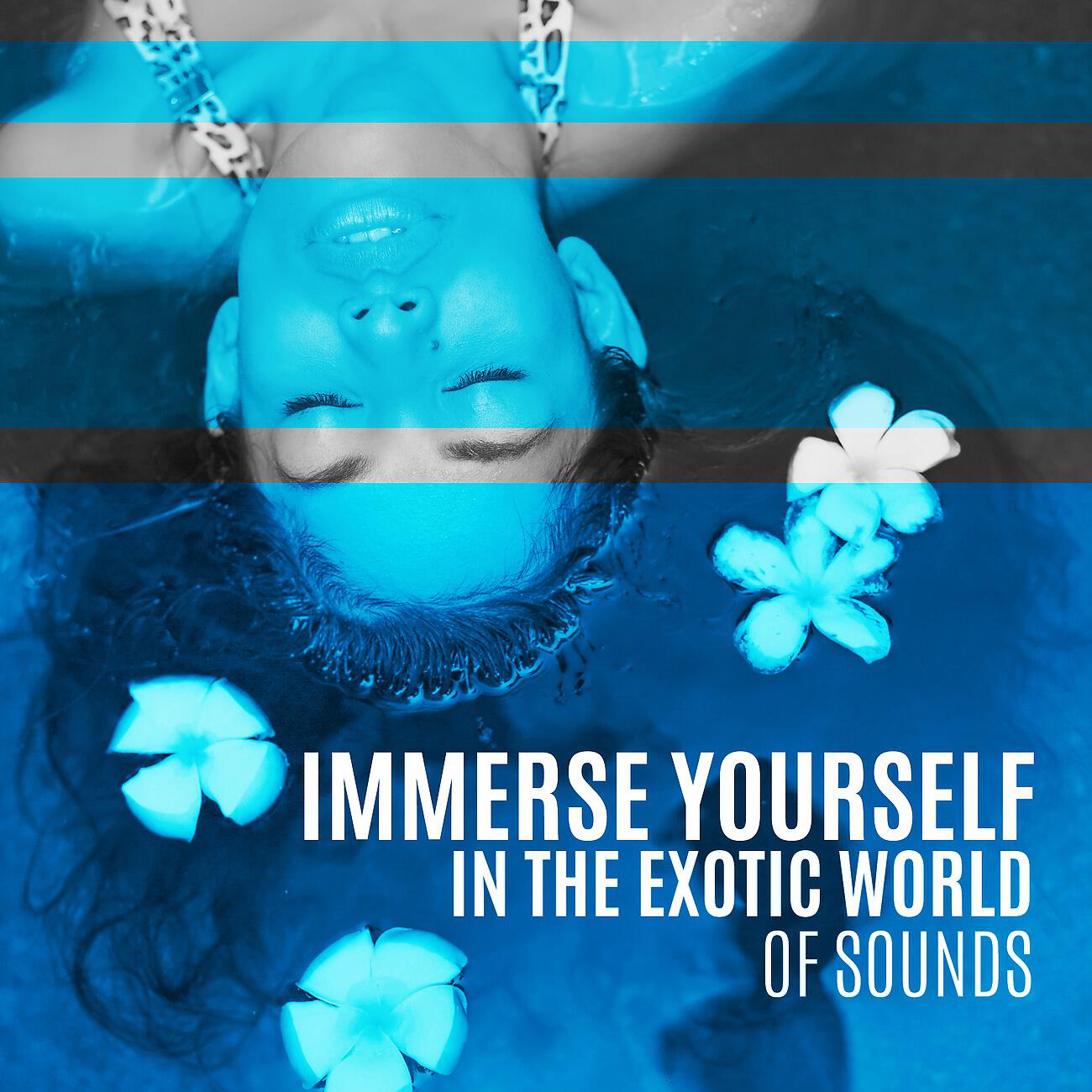 Релиз Immerse Yourself in the Exotic World of Sounds