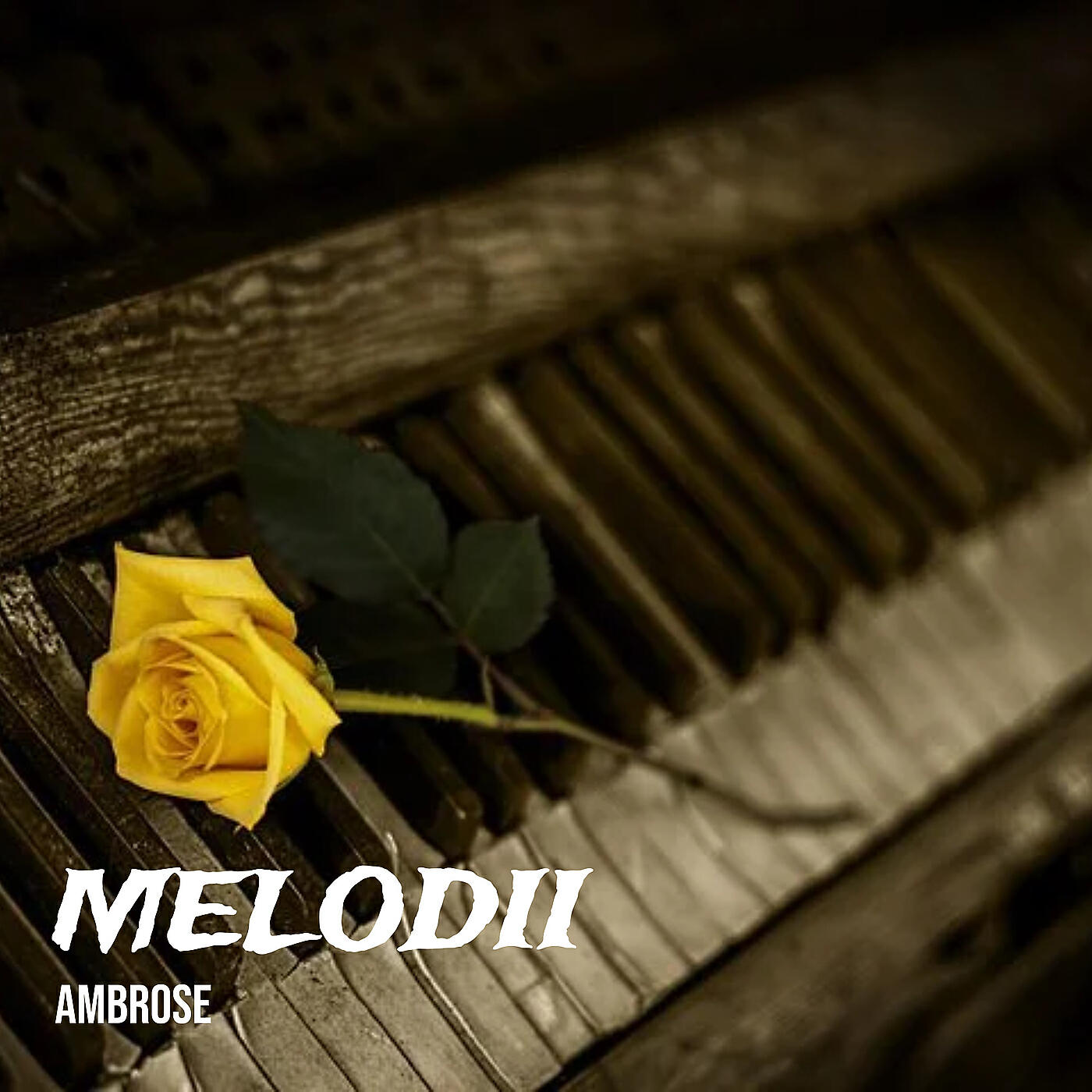 Релиз Melodii