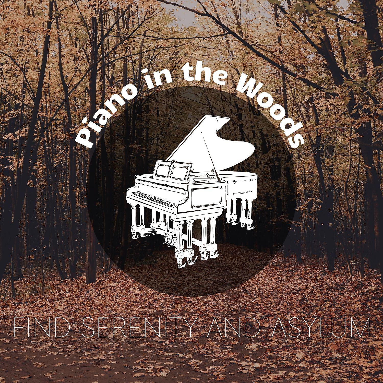 Релиз Find Serenity and Asylum