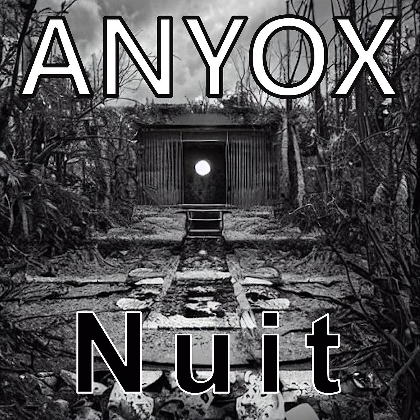 Релиз Nuit