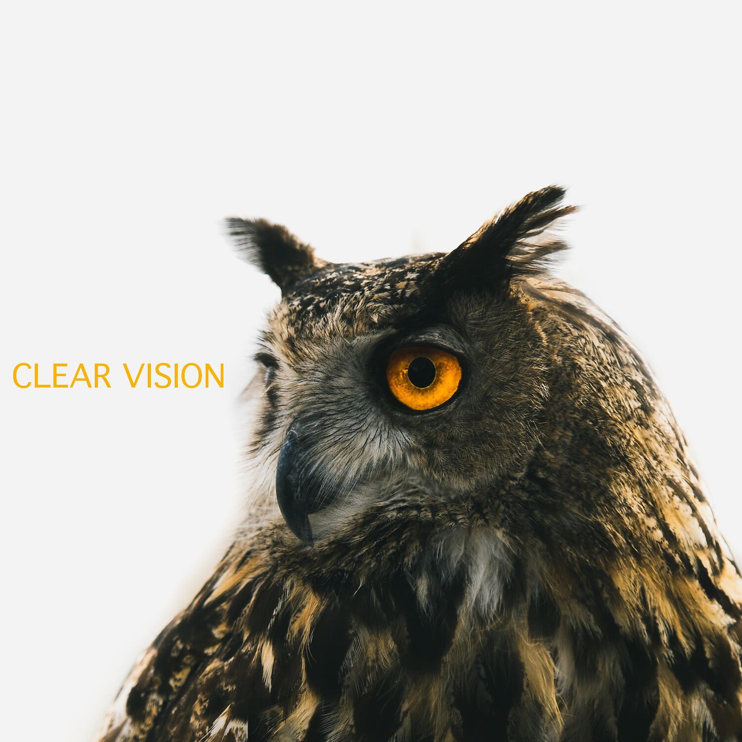 Релиз Clear Vision