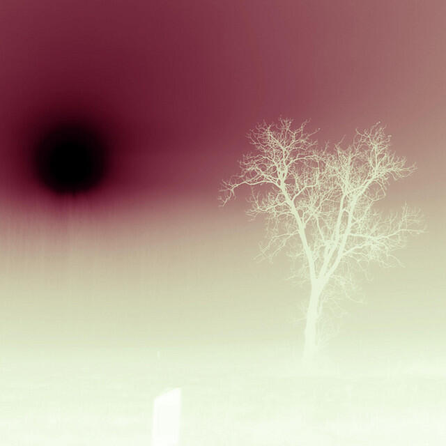 Релиз ghost