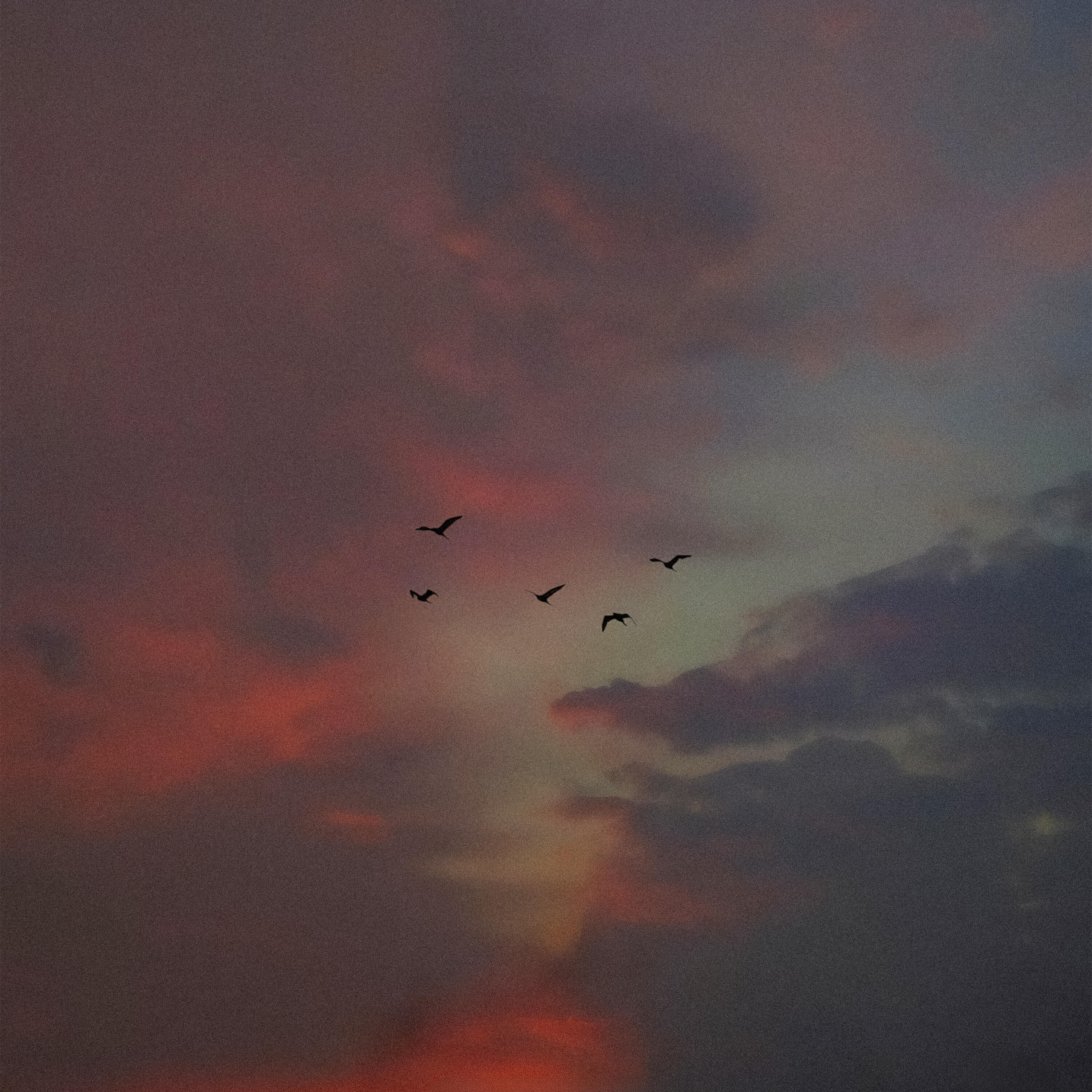 Релиз i miss you