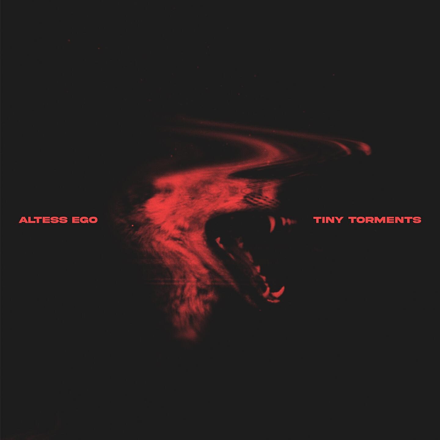 Релиз Tiny Torments