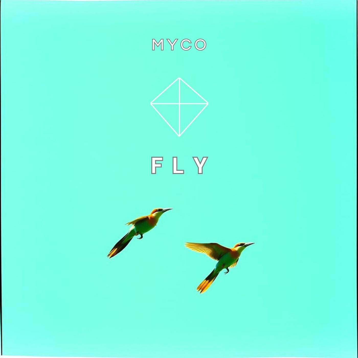 Релиз Fly