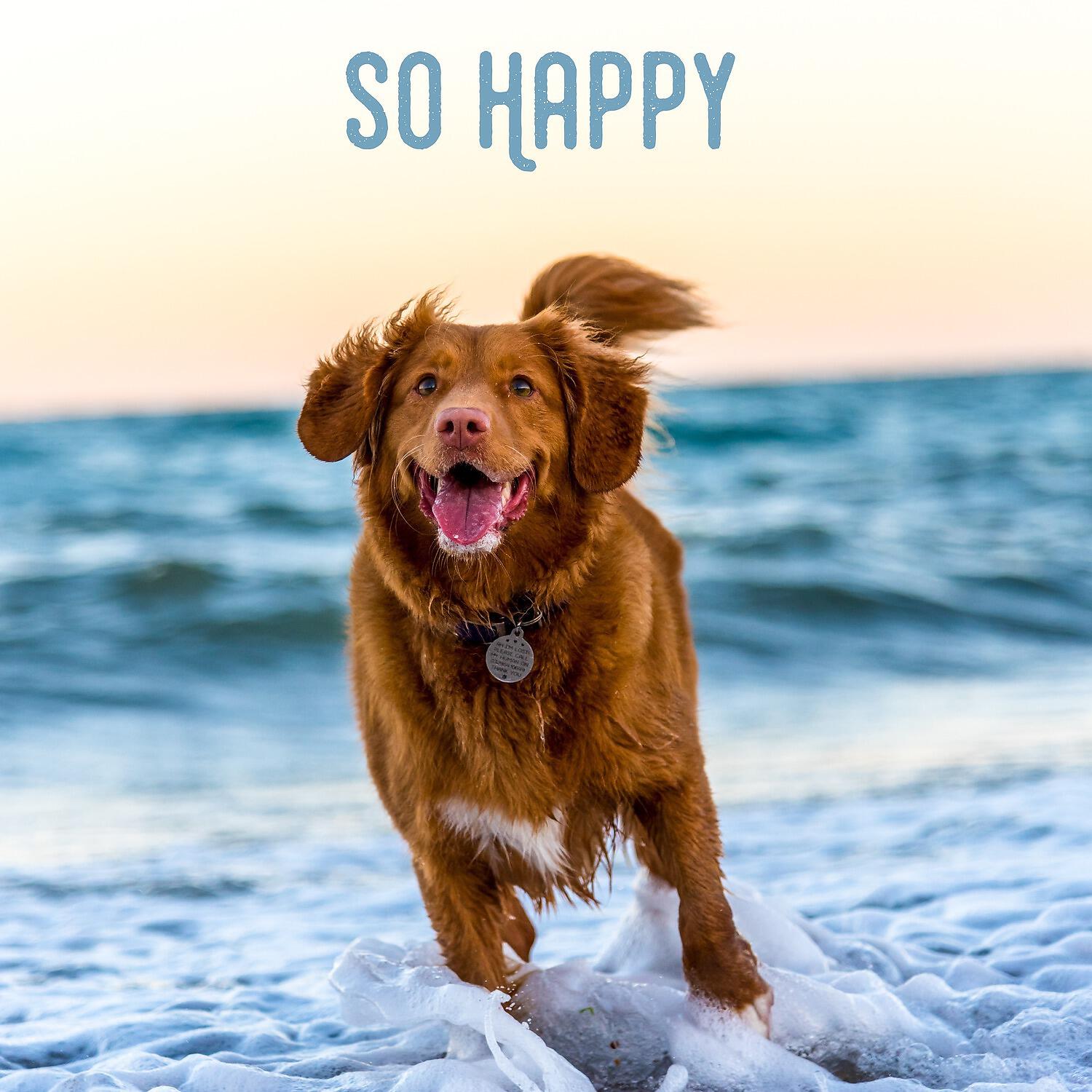 Релиз So Happy