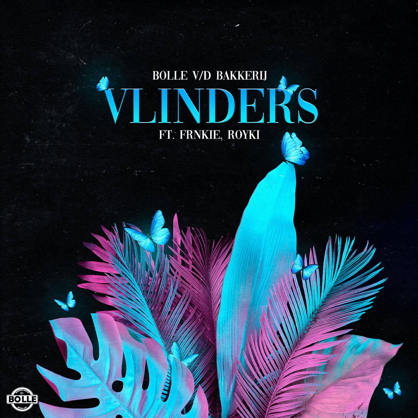 Постер альбома Vlinders