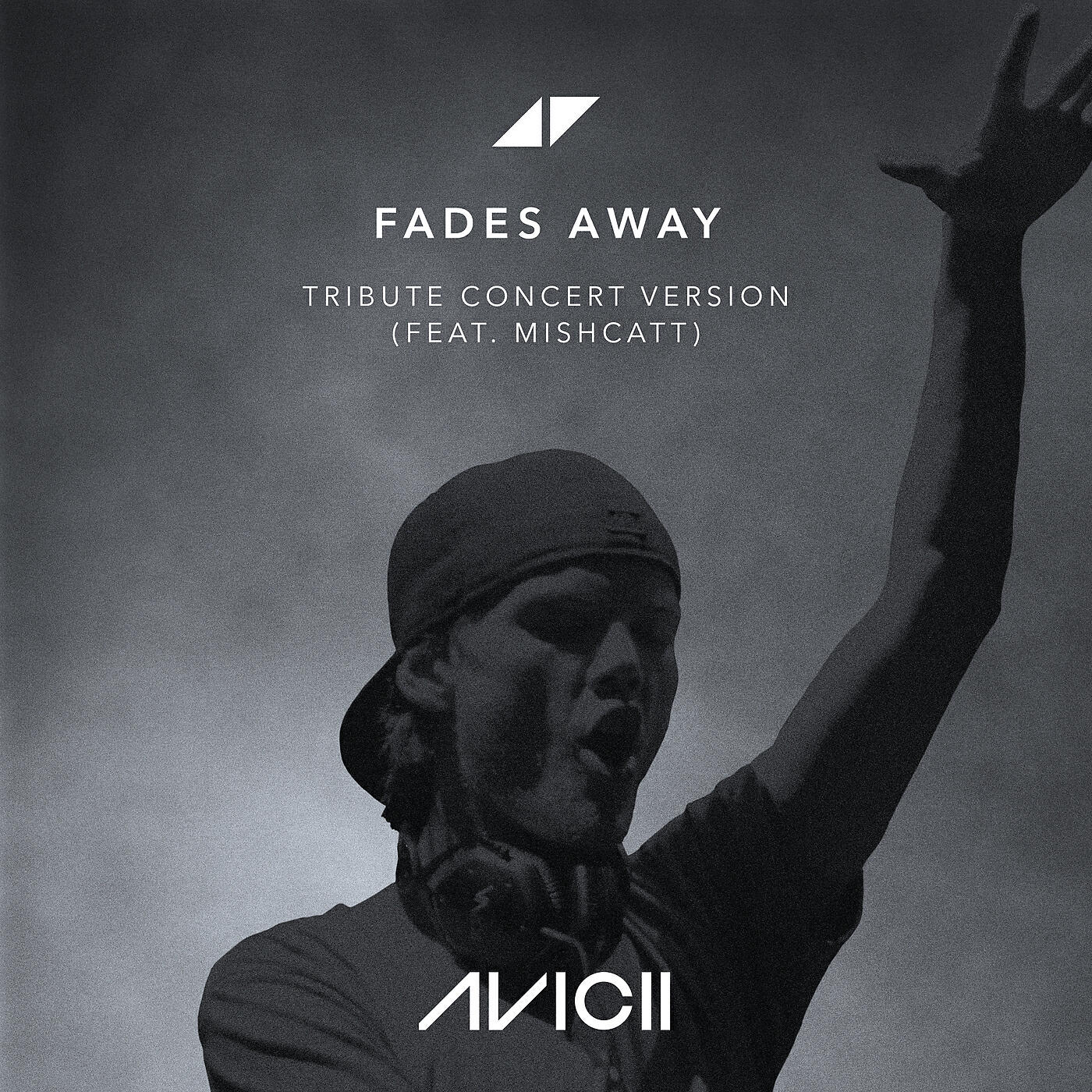 Постер альбома Fades Away