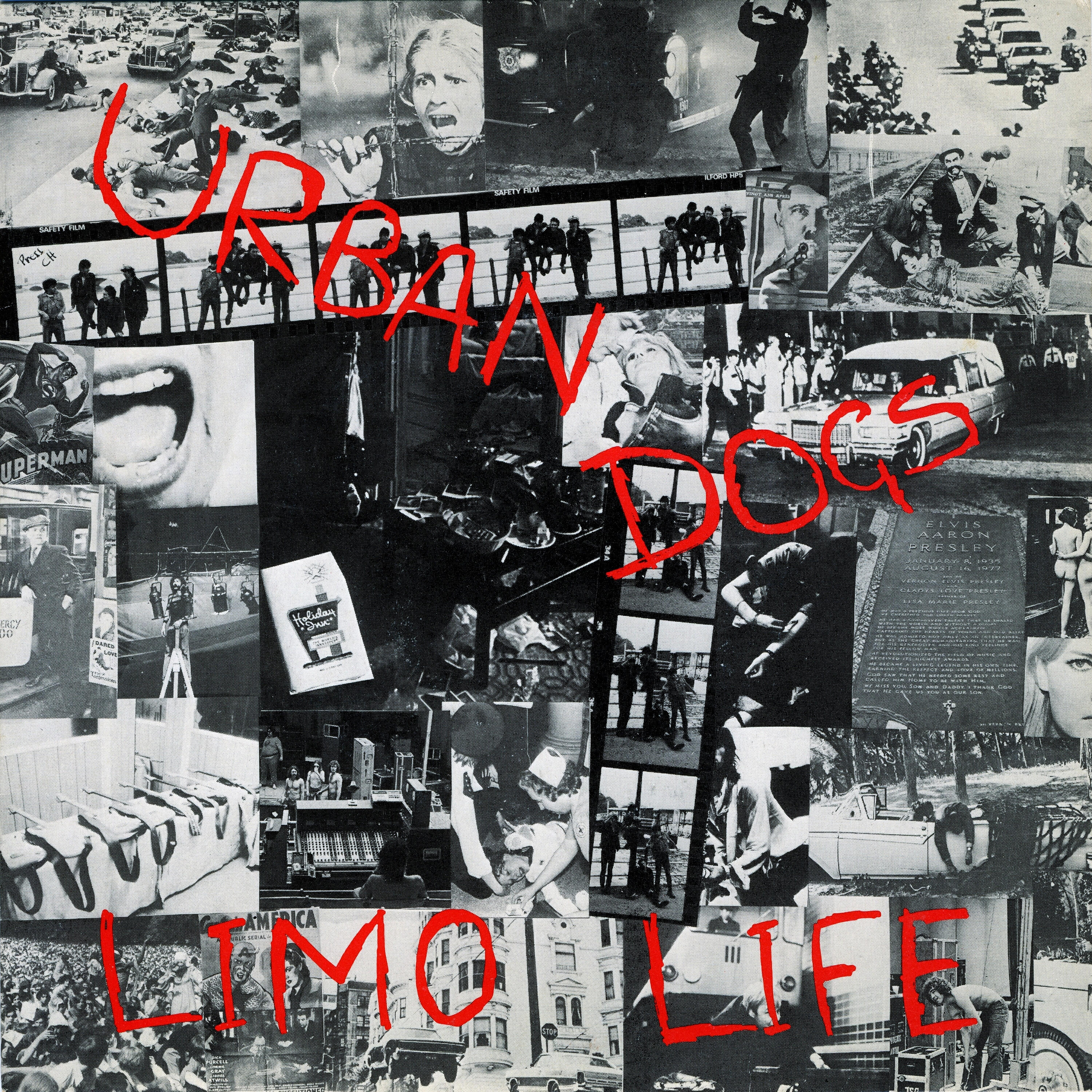 Релиз Limo Life