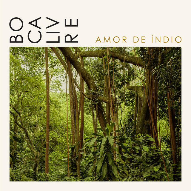 Релиз Amor de Índio
