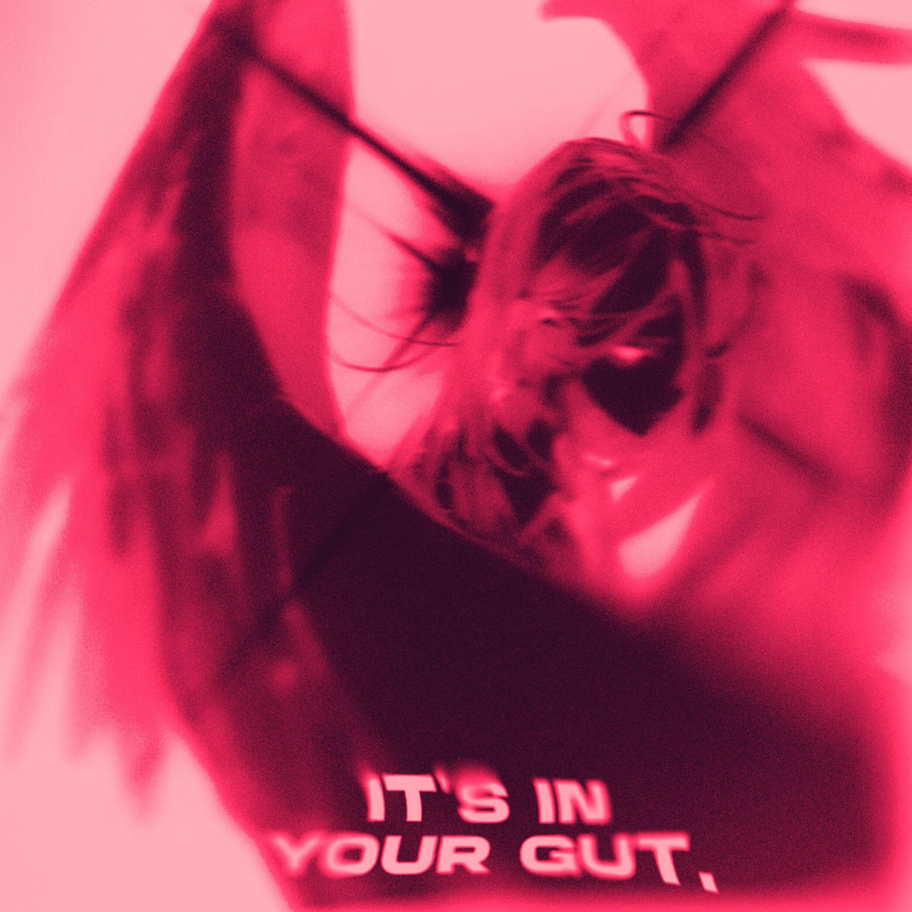Постер альбома It’s in Your Gut