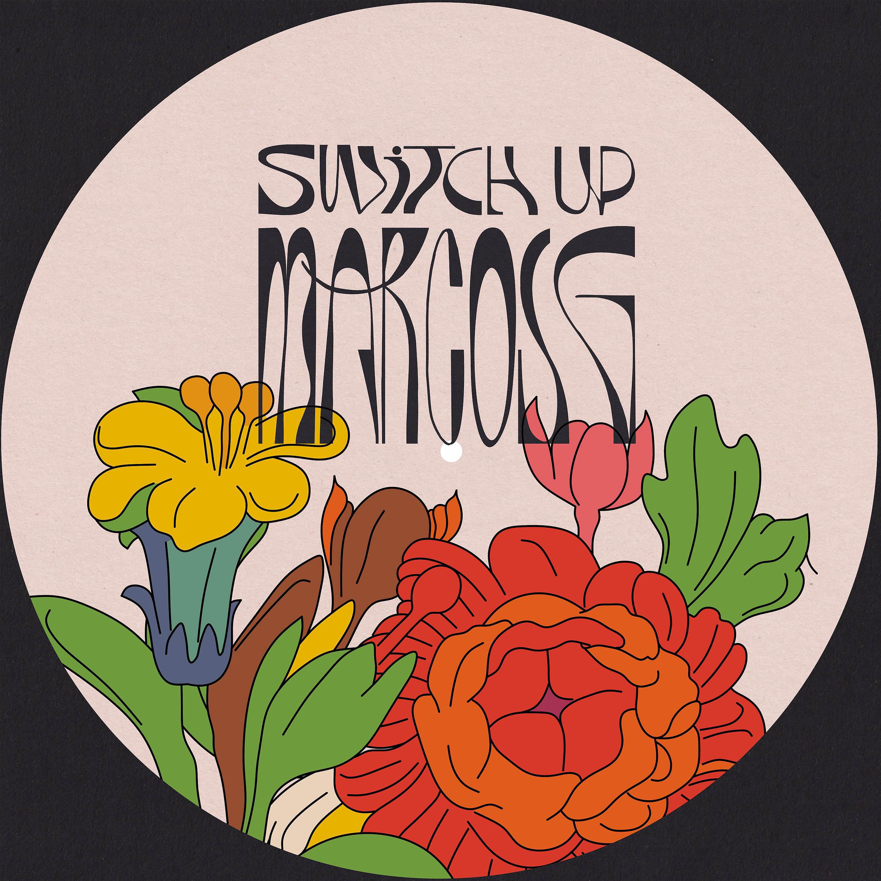 Релиз switch up