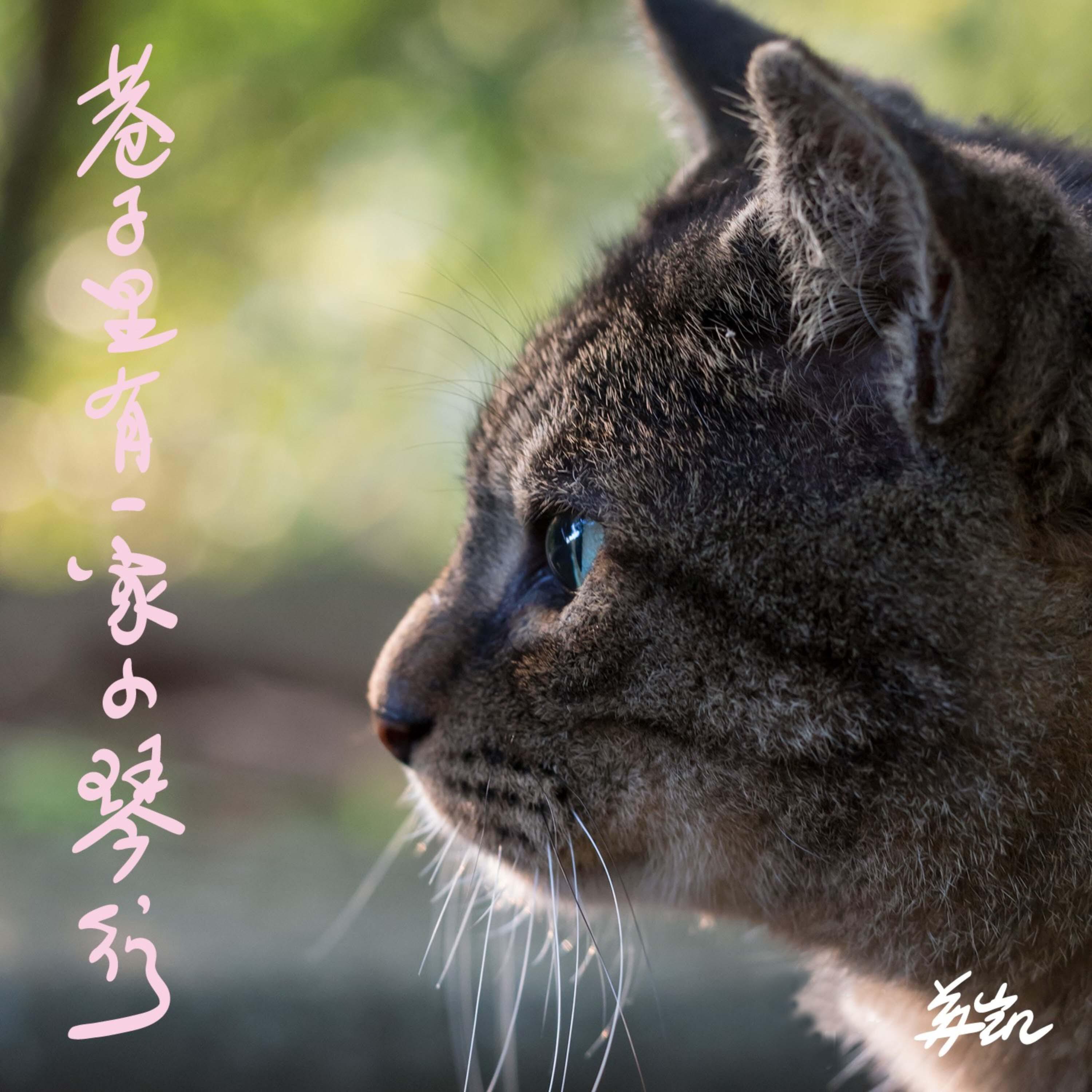 Релиз 巷子里有一家小琴行