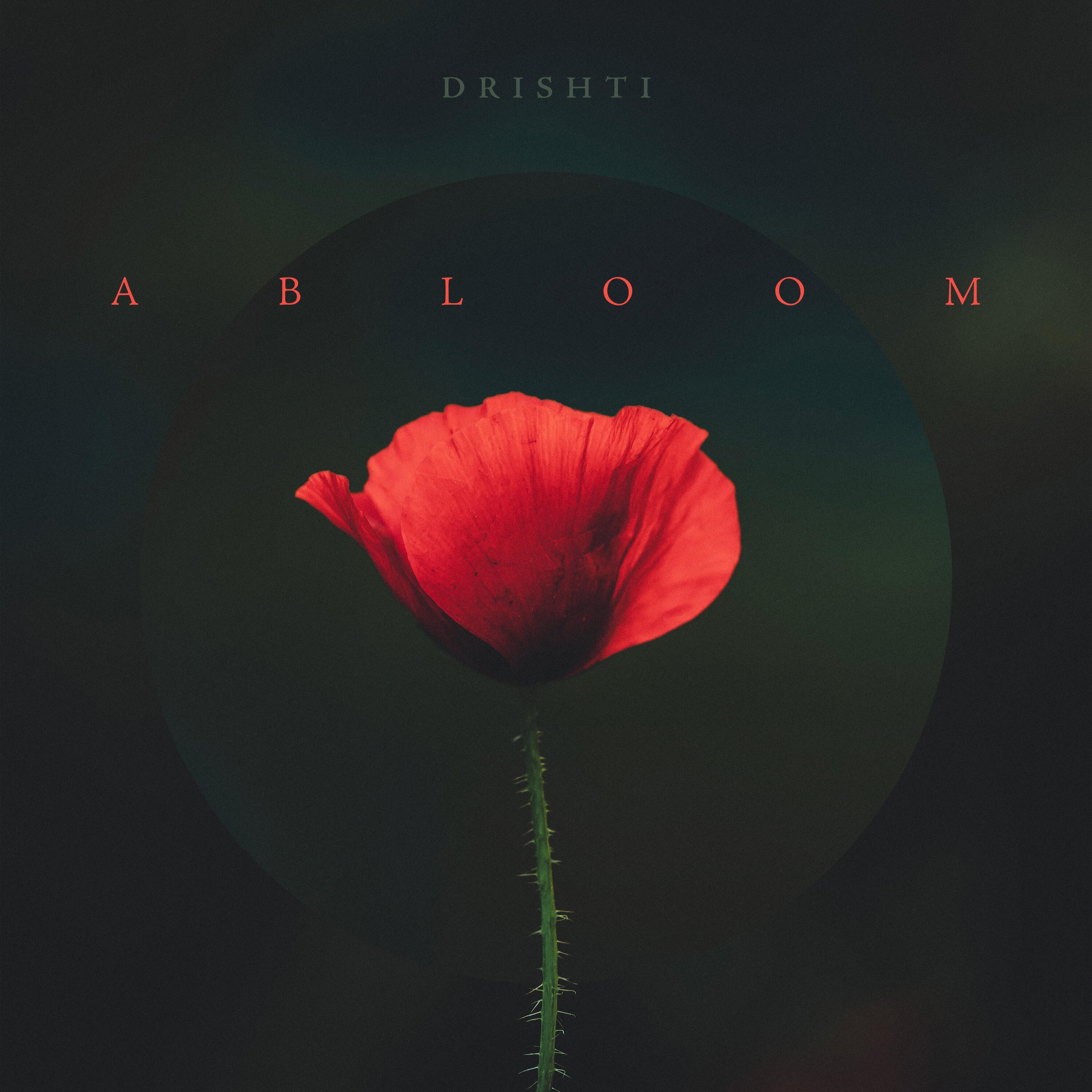 Релиз Abloom