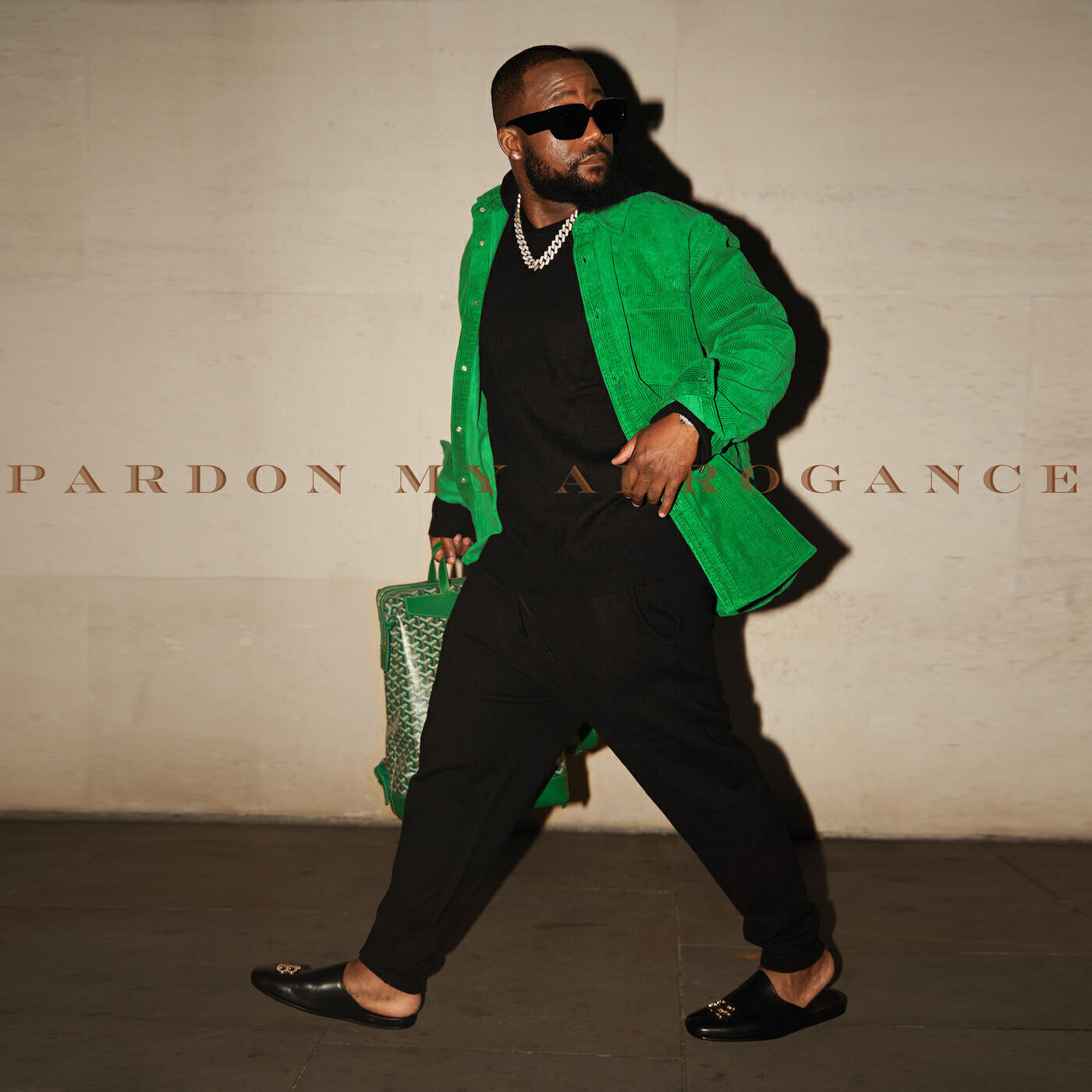 Релиз Pardon My Arrogance