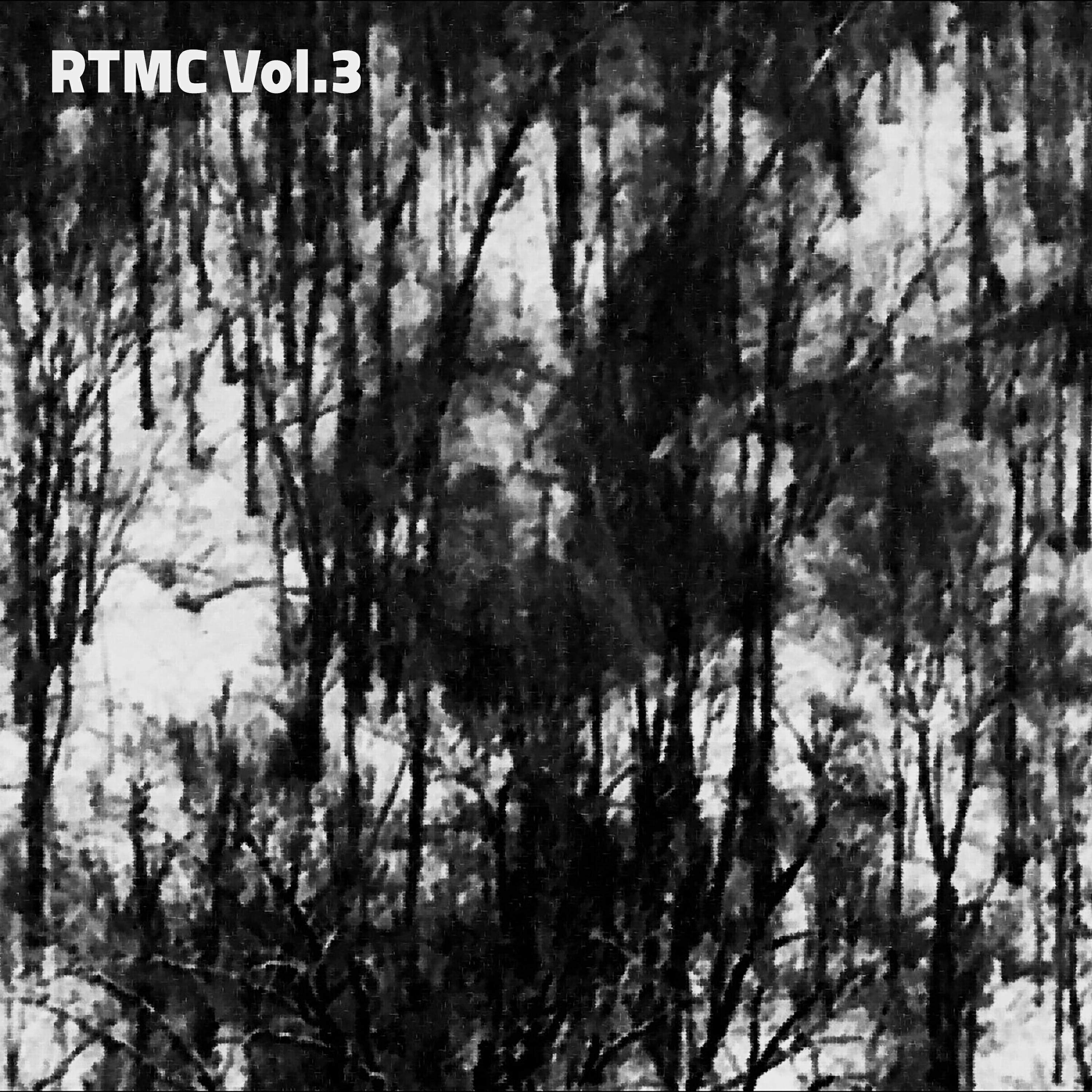 Релиз Rtmc, Vol. 3